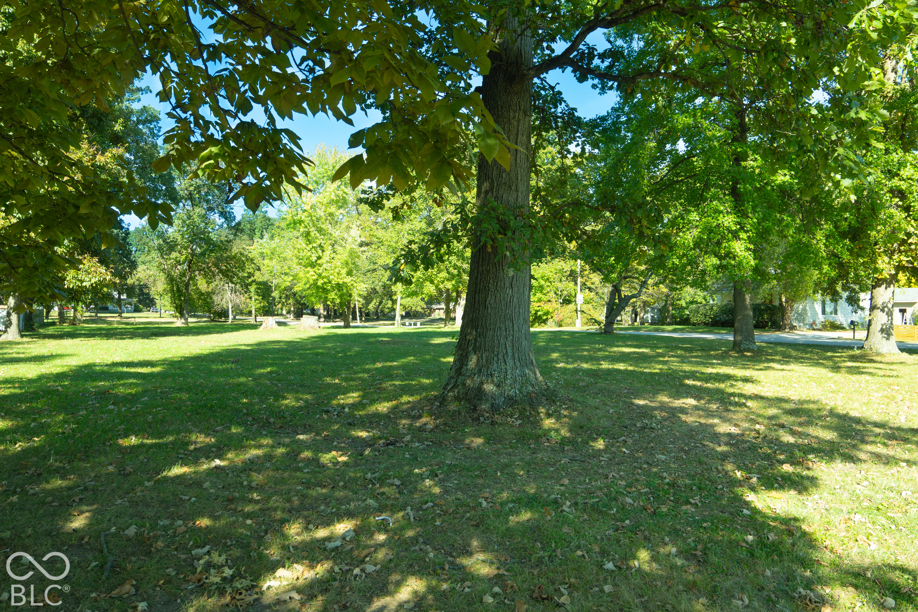9110 E Thompson Road, Indianapolis, IN, 46239 photo 4 of 7