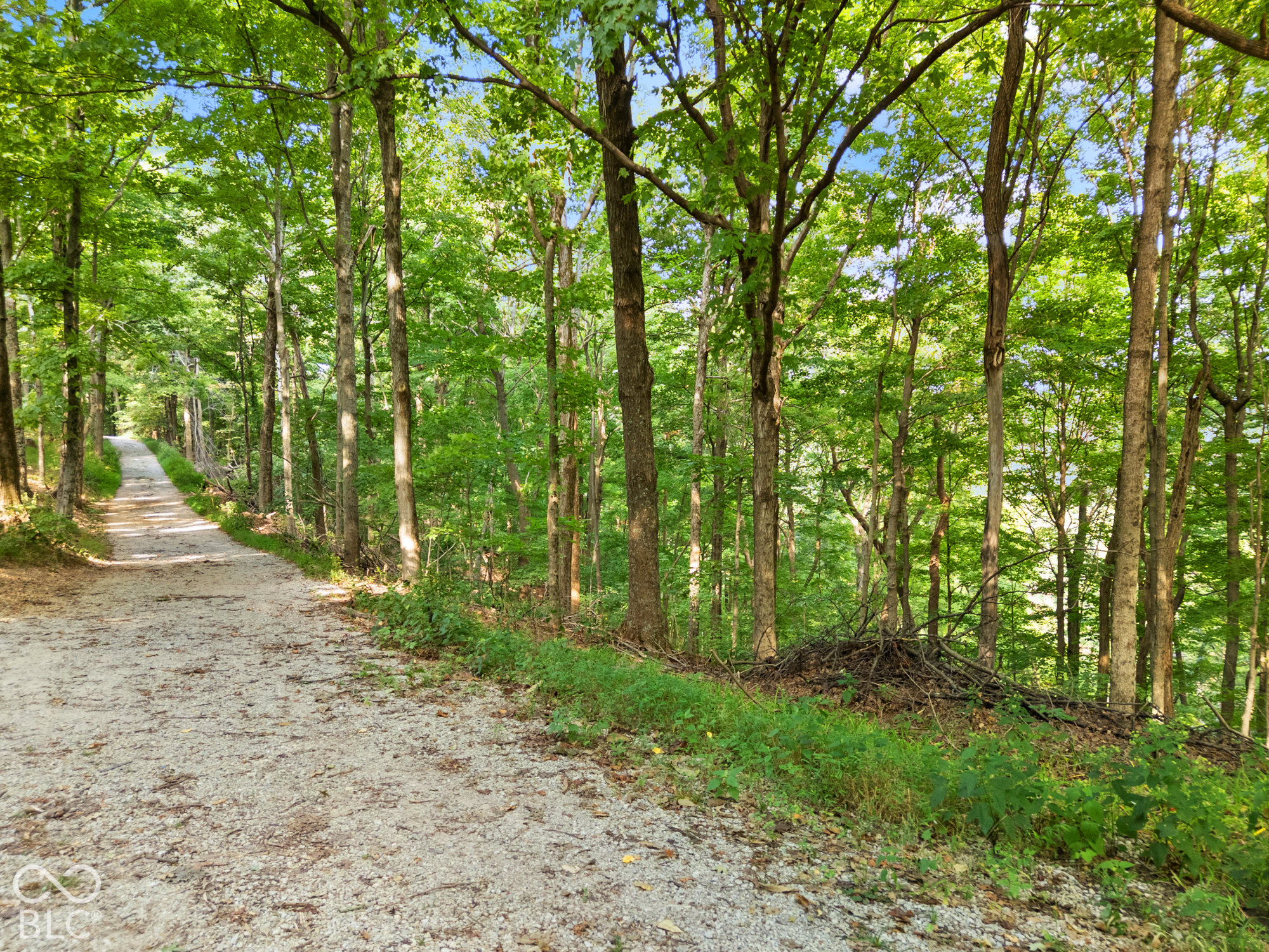 0 W McCarthy Knob Road, Lanesville, IN, 47136 photo 4 of 30