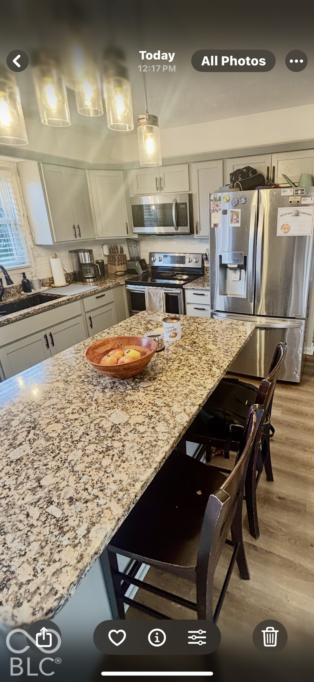 1515 Karyl Anne Court, Danville, IN, 46122 photo 4 of 15