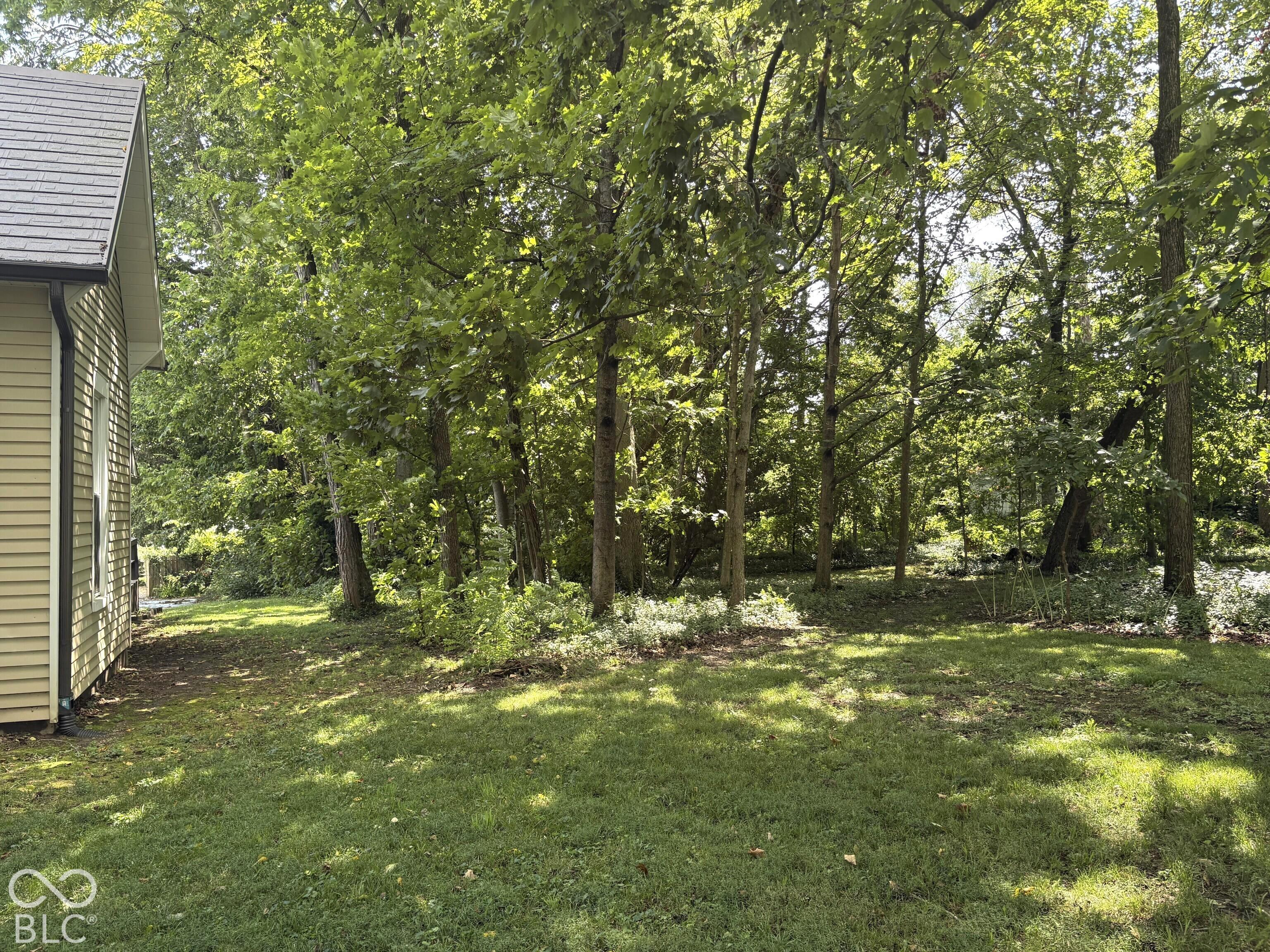 119 Banta Street, Franklin, IN, 46131 photo 4 of 31