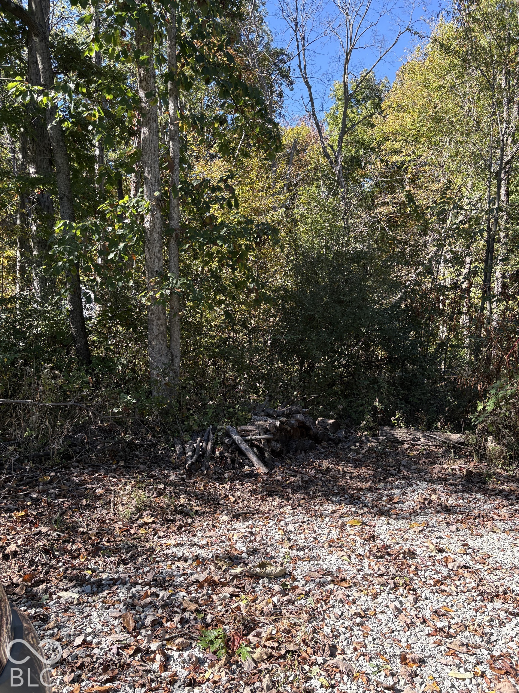 329 Mill Springs, Fillmore, IN, 46128 photo 4 of 4