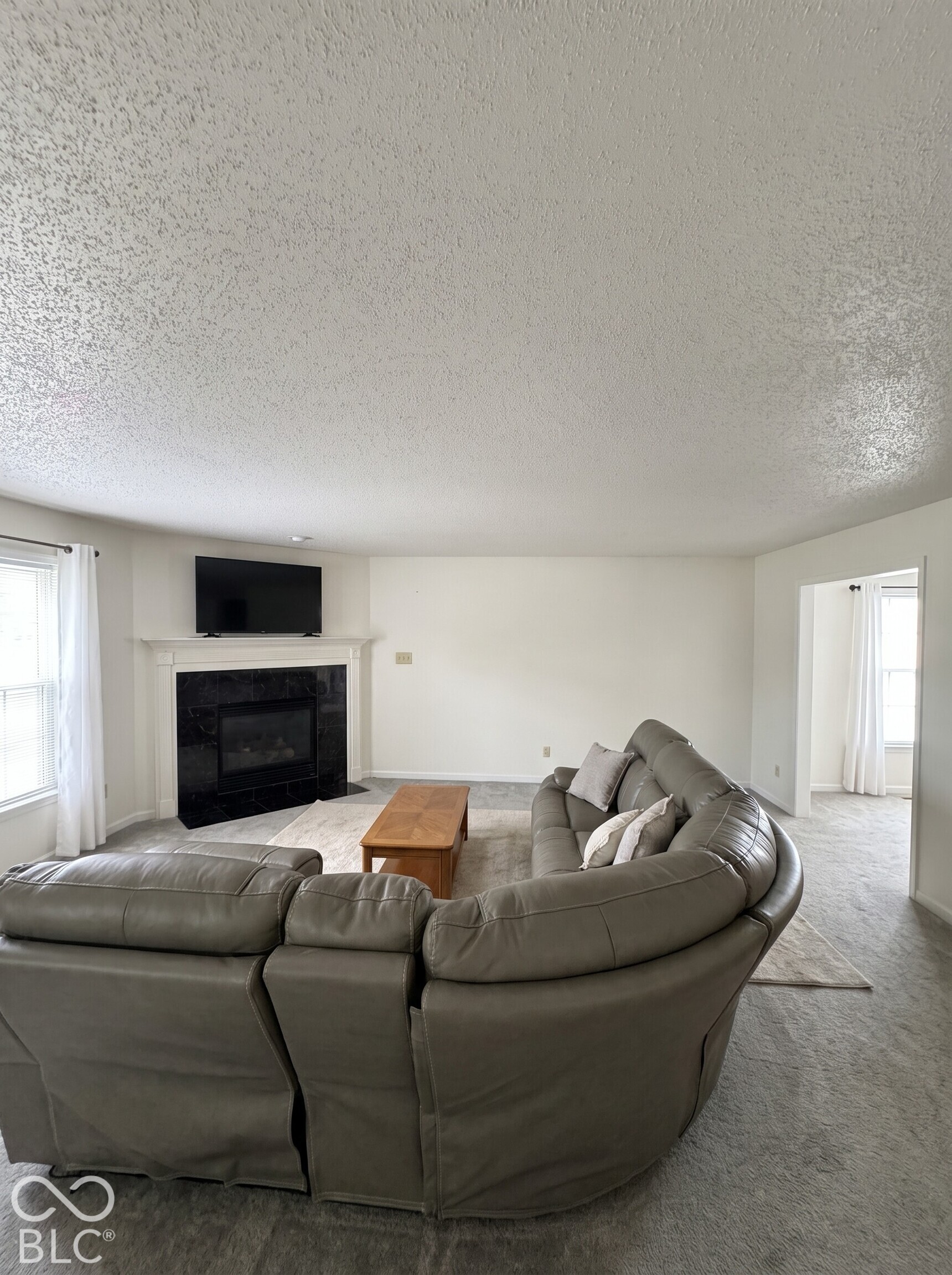 9118 Cardinal Flower Court, Indianapolis, IN, 46231 photo 4 of 17