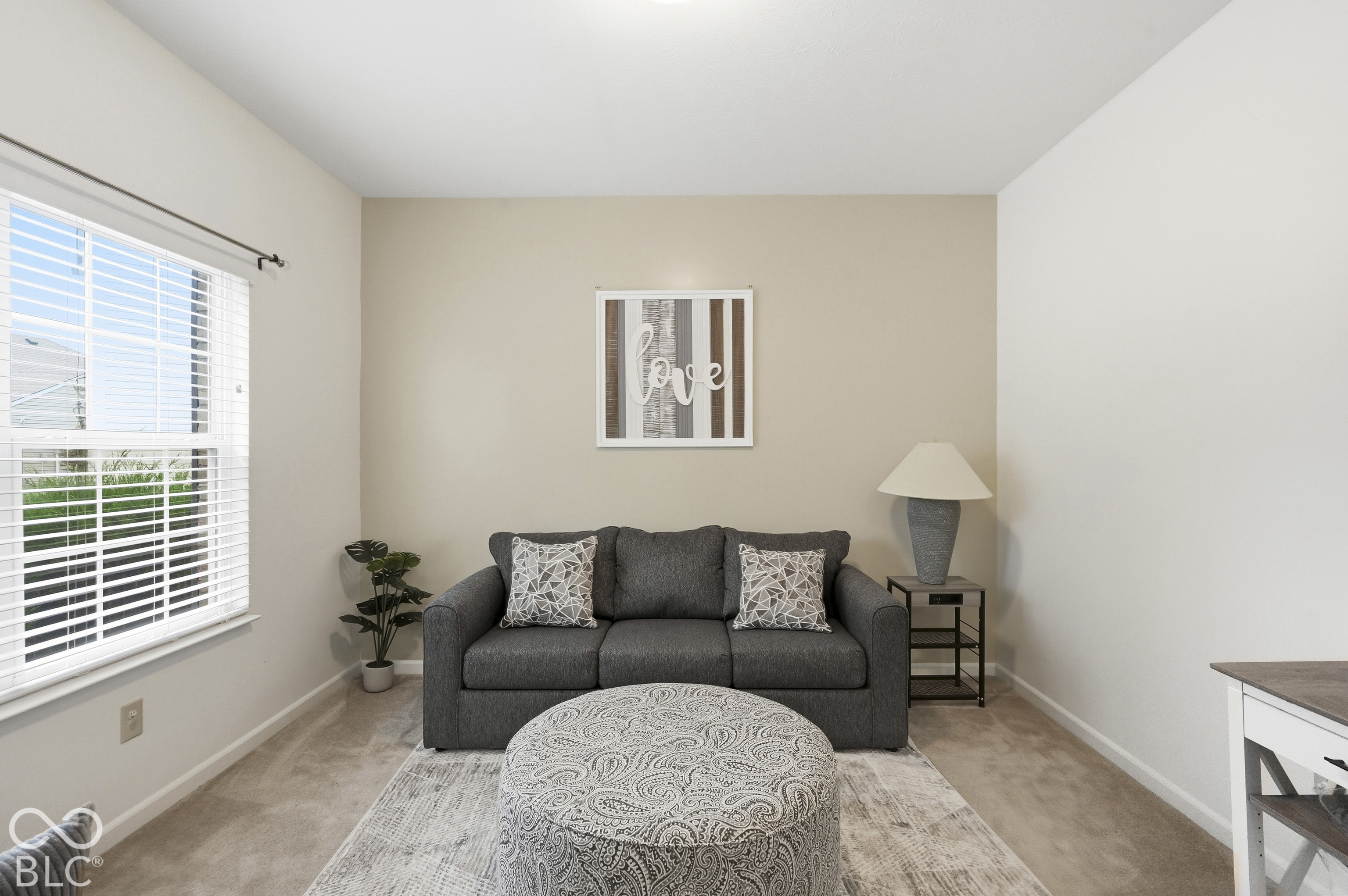 2349 Cole Wood Circle, Indianapolis, IN, 46239 photo 4 of 28