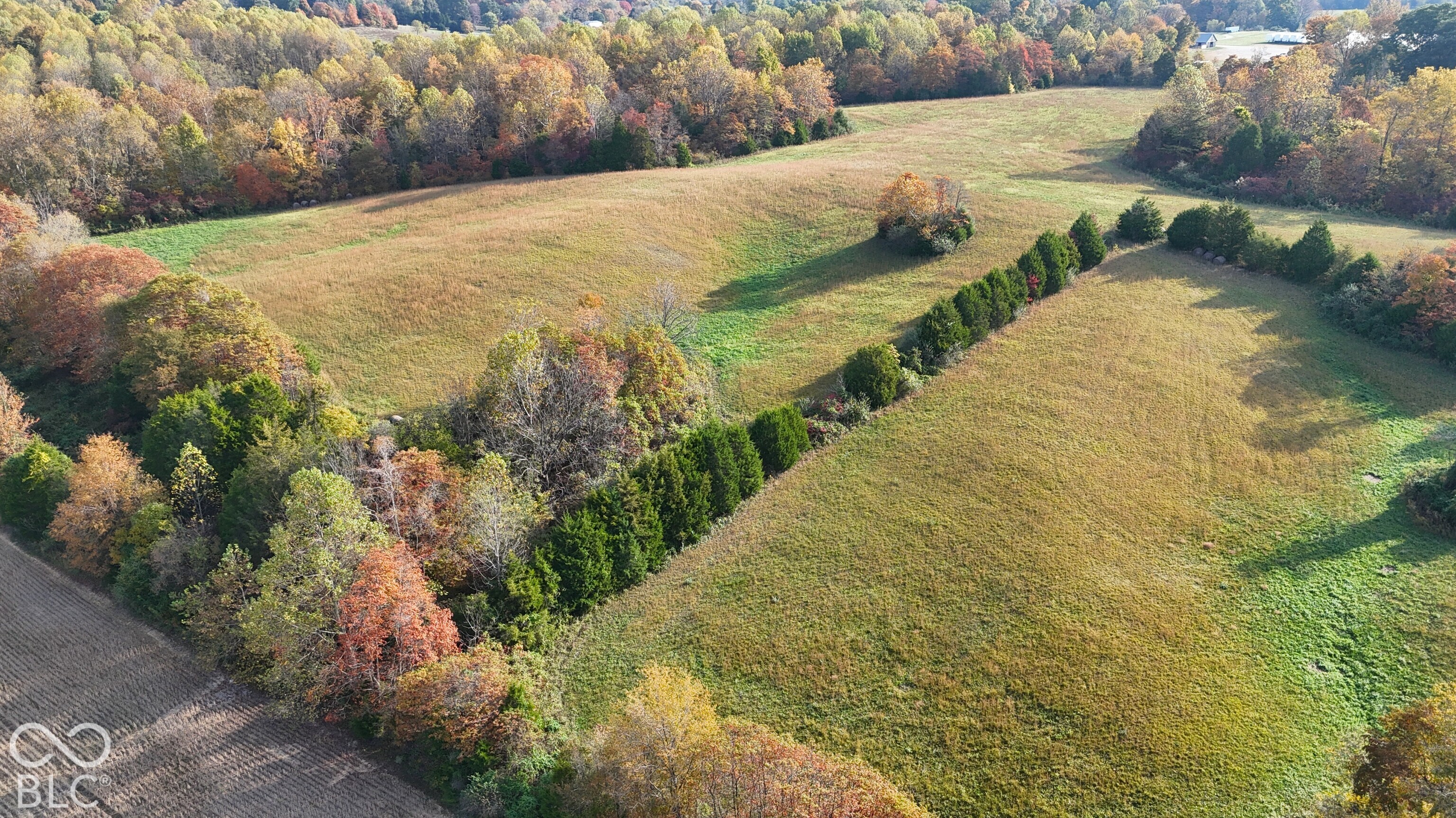 8900 S Cr 310 W, Commiskey, IN, 47227 photo 4 of 33