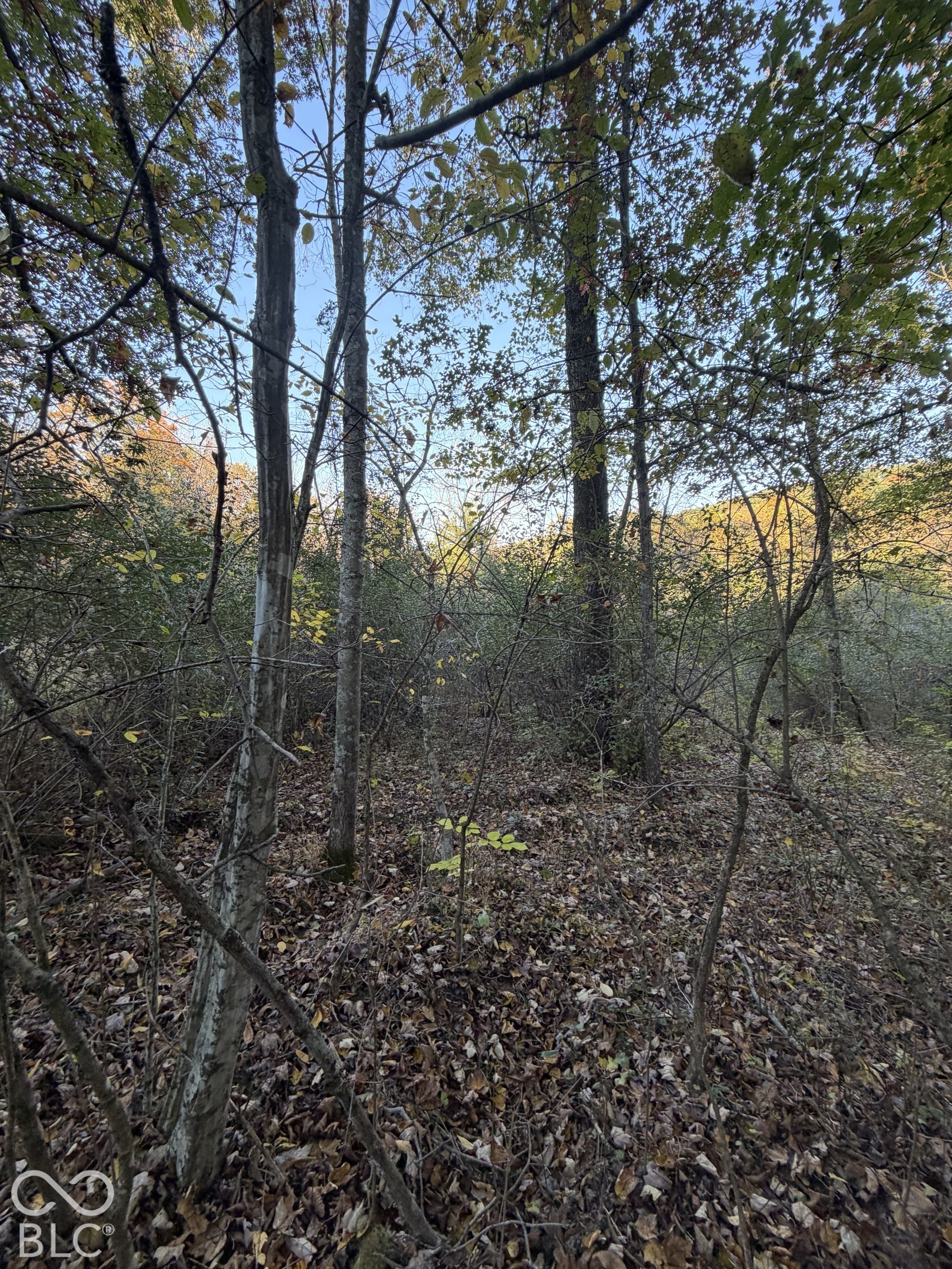000 Henderson Lane, Nashville, IN, 47448 photo 4 of 11