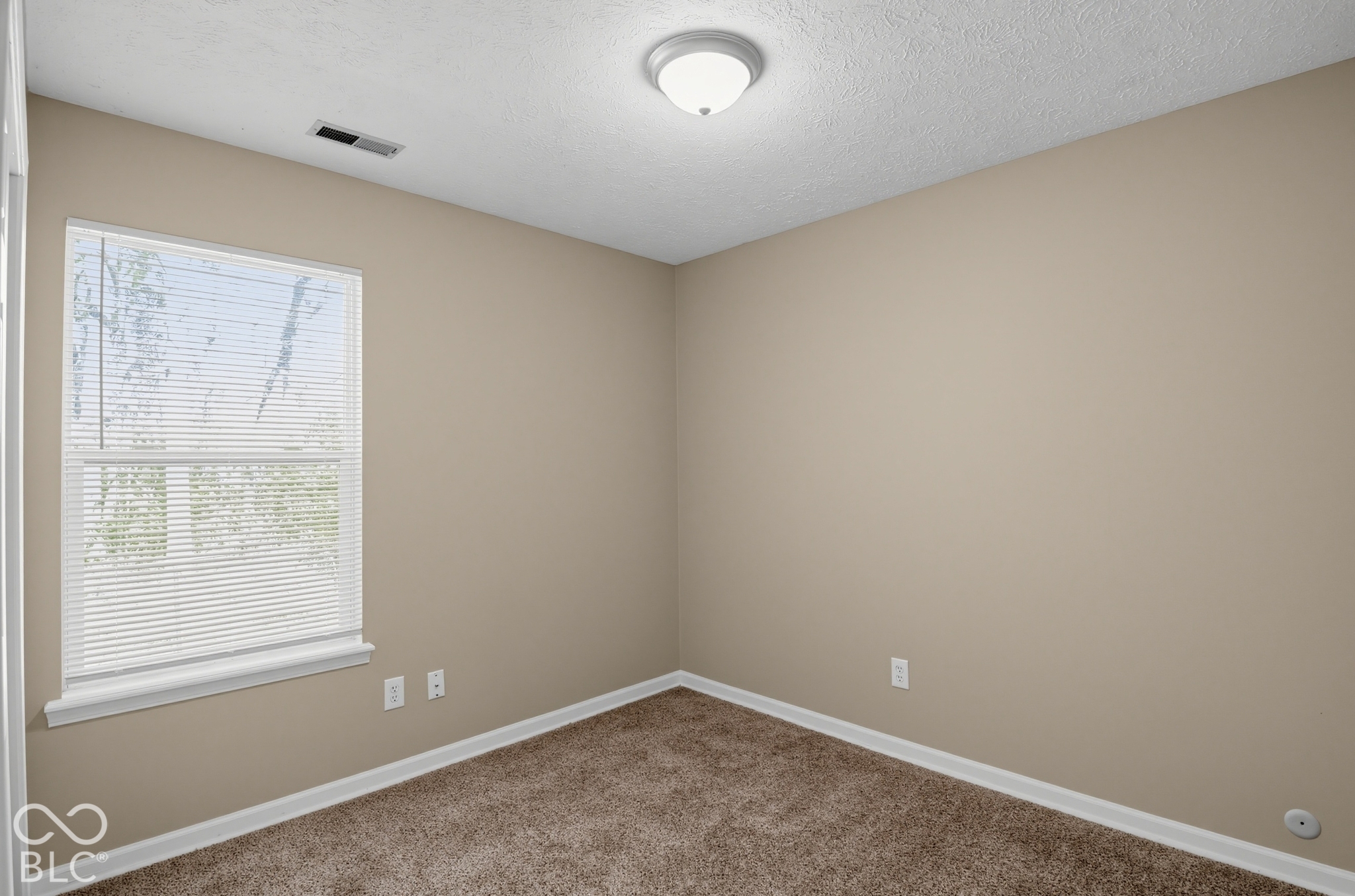 10832 Snowdrop Way, Indianapolis, IN, 46235 photo 4 of 15