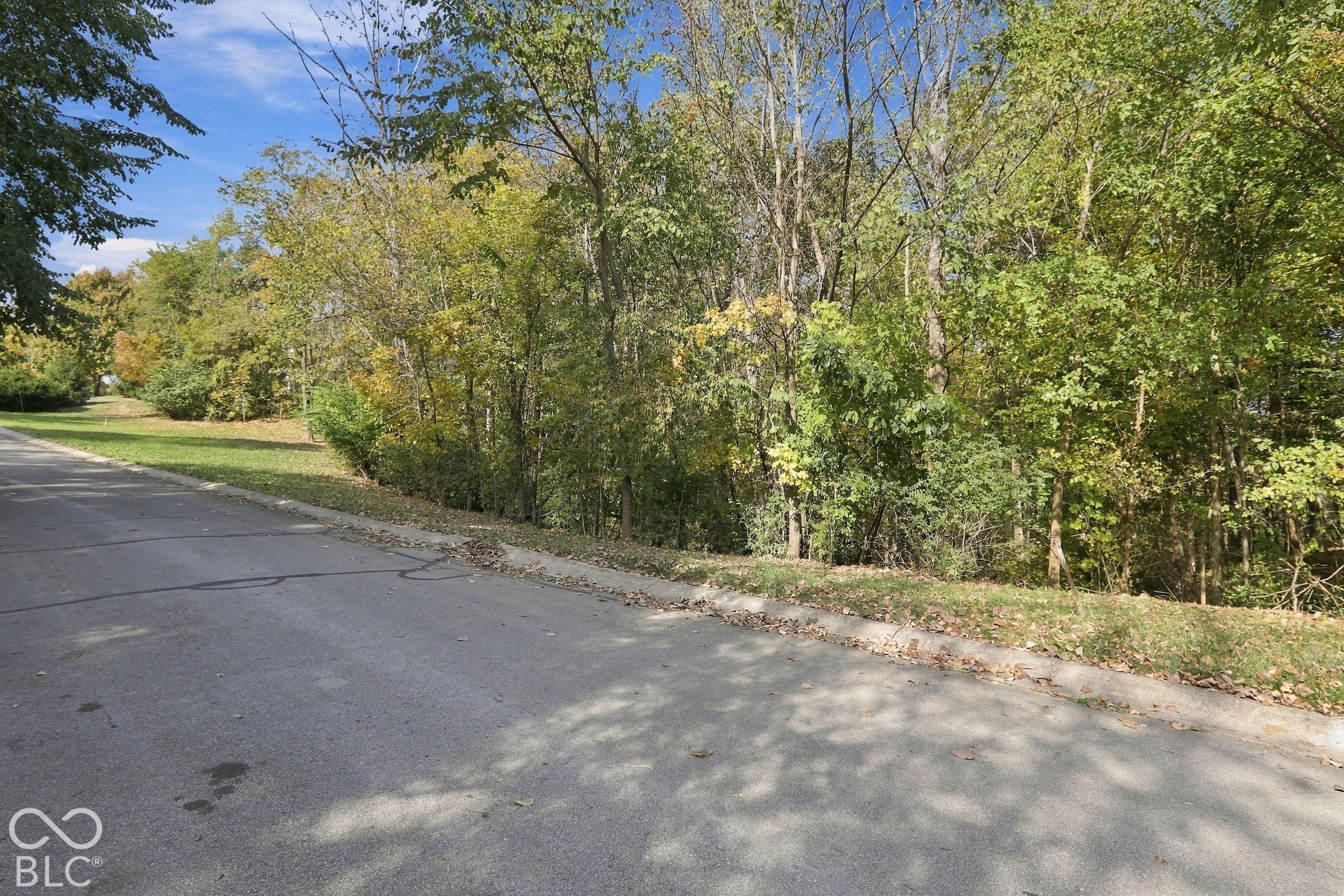 14674 Faucet Lane, Fishers, IN, 46040 photo 4 of 14