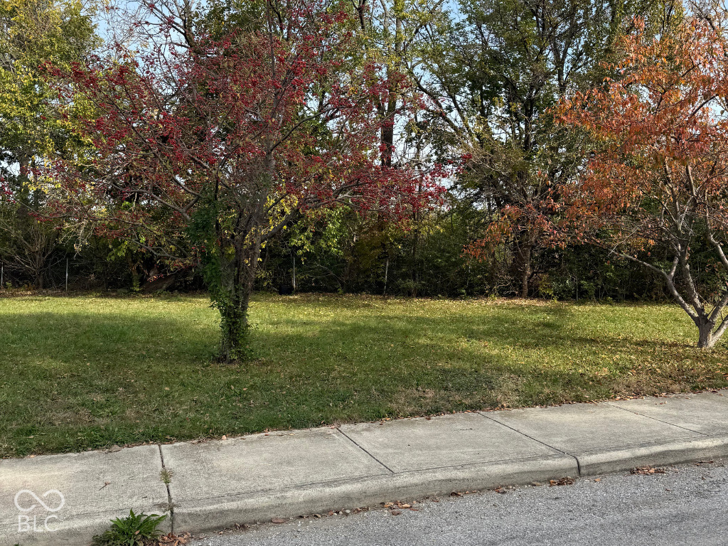 928 Cottage Avenue, Indianapolis, IN, 46203 photo 4 of 12