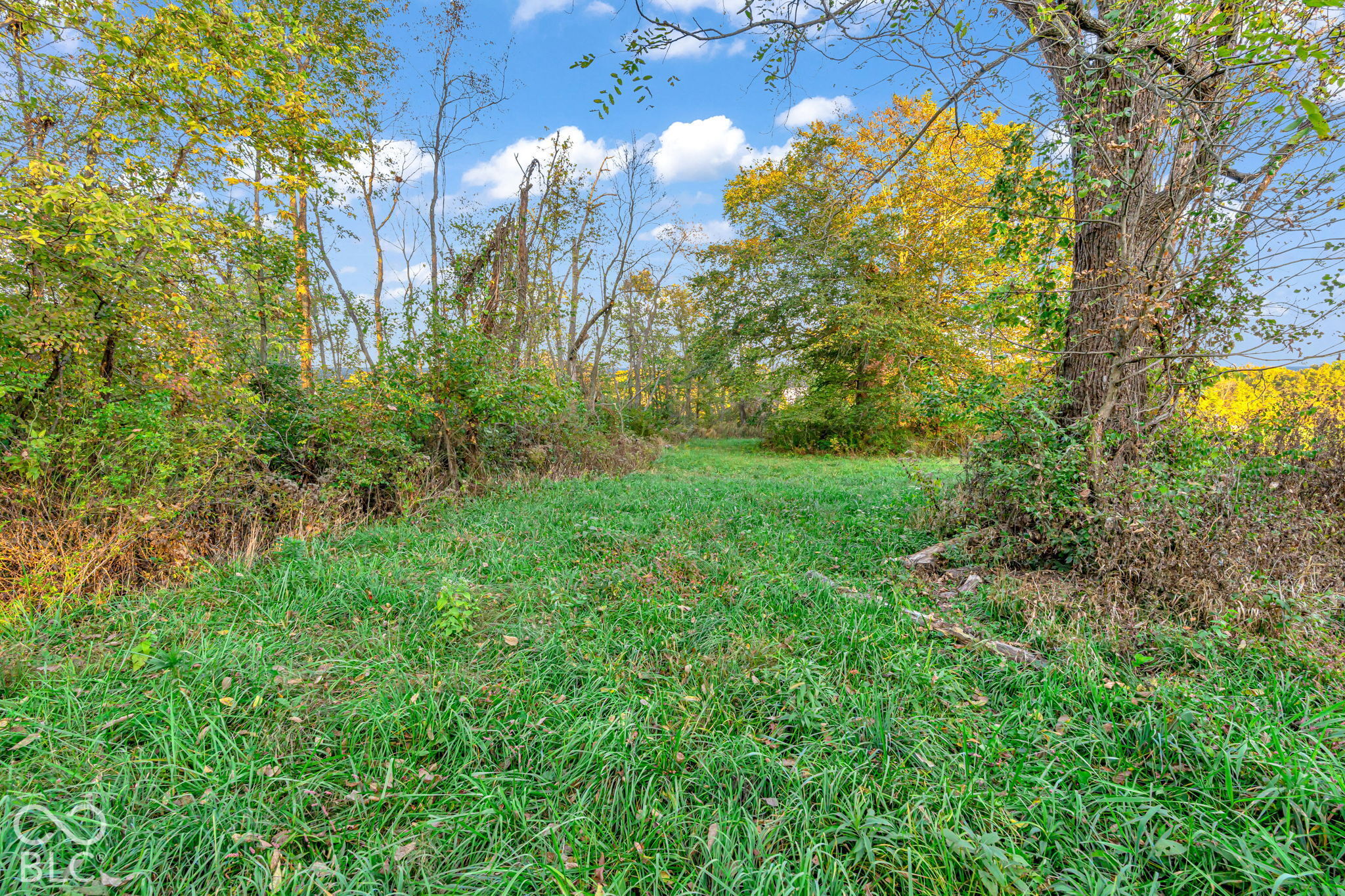 Lot 1 E Co Rd 500 S, Fillmore, IN, 46128 photo 4 of 13