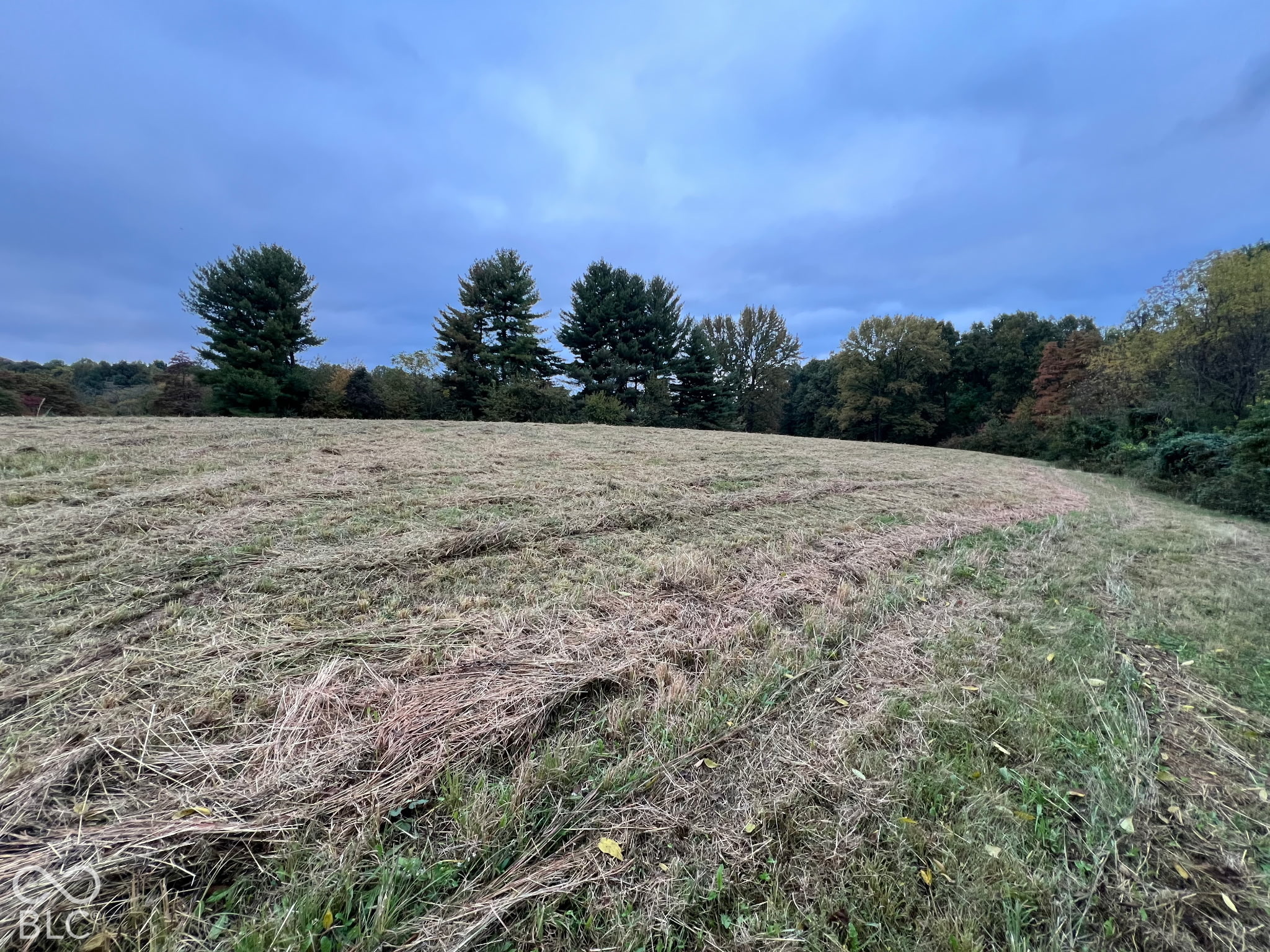 lot 2 SR 350, Milan, IN, 47031 photo 4 of 6