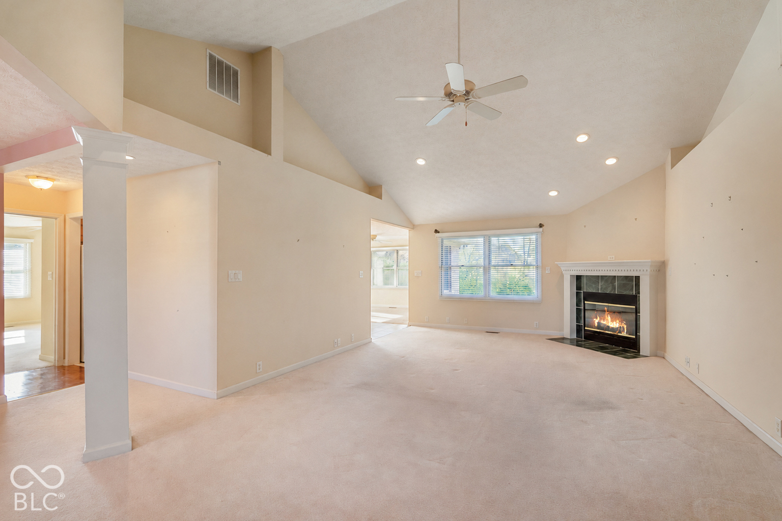 1113 Spencer Drive, Brownsburg, IN, 46112 photo 4 of 38