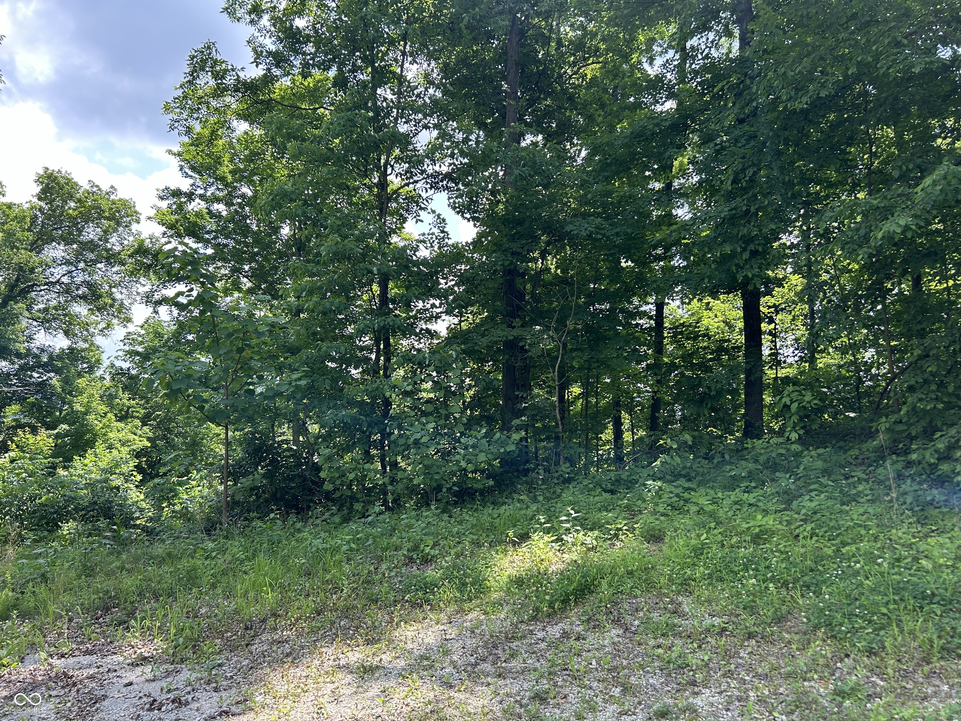 00 Legendary Drive, Martinsville, IN, 46151 photo 5 of 15