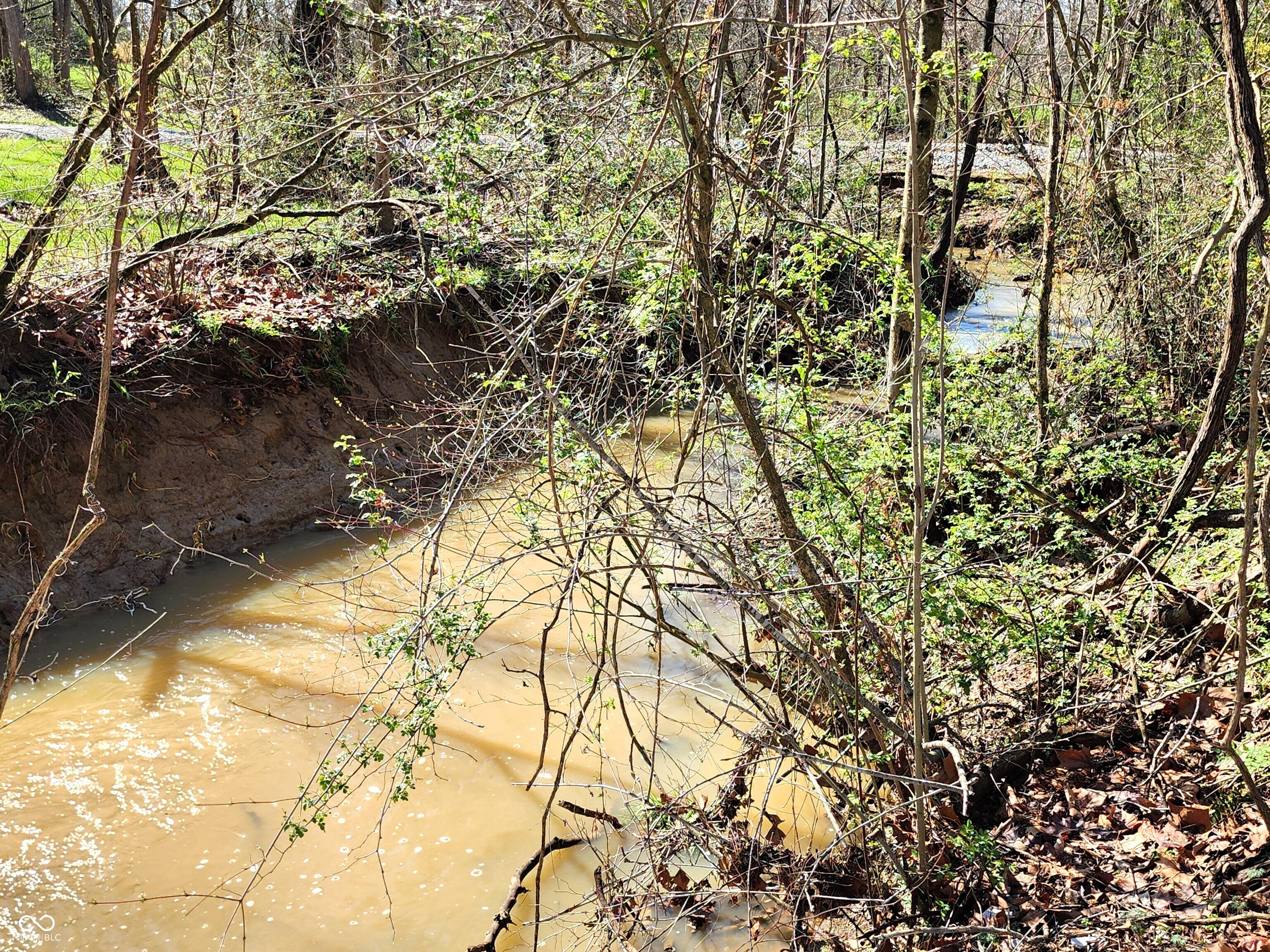 0 Goat Hollow Estates Lot 4, Martinsville, IN, 46151 photo 5 of 11
