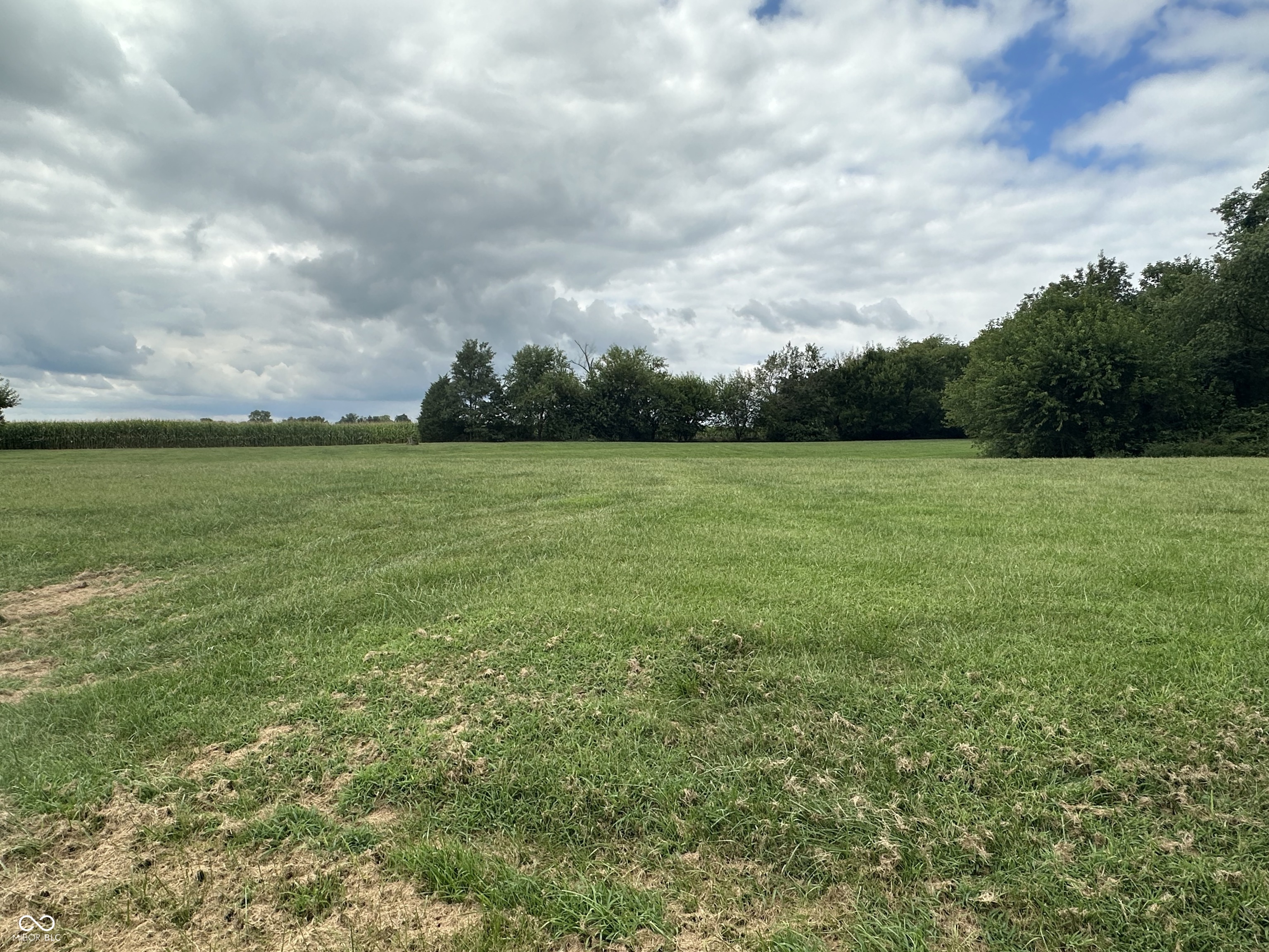 10406 Hodge Road, Clayton, IN, 46118 photo 5 of 5