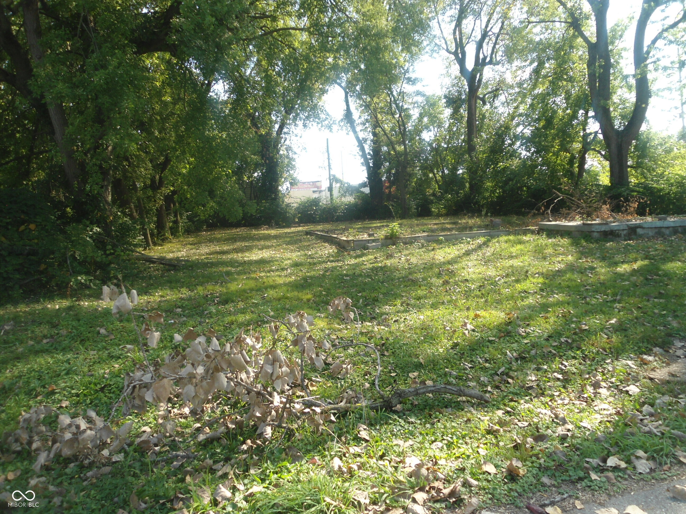 3115 Madison Avenue, Indianapolis, IN, 46227 photo 5 of 7