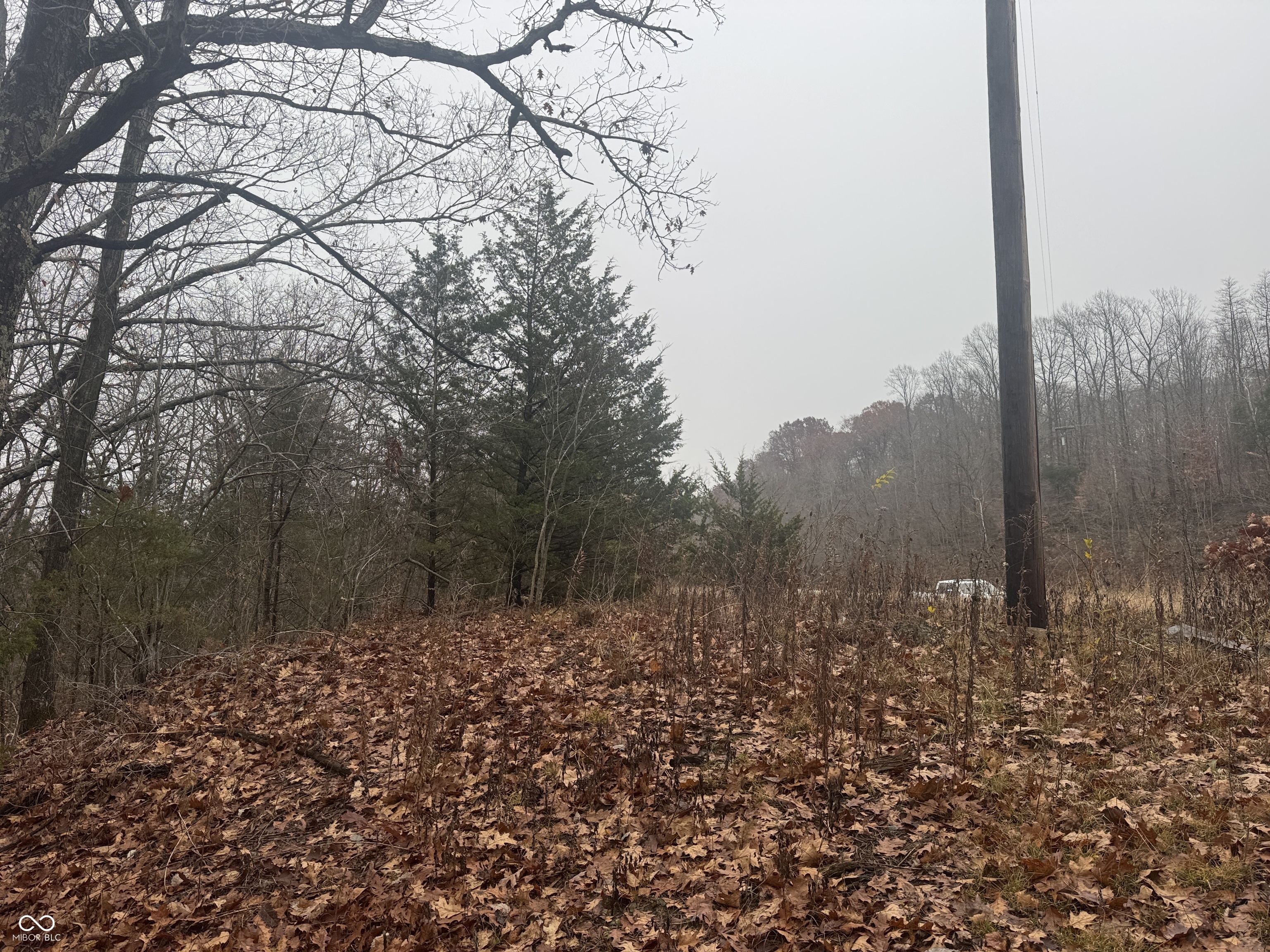 700 West, Reelsville, IN, 46171 photo 5 of 19