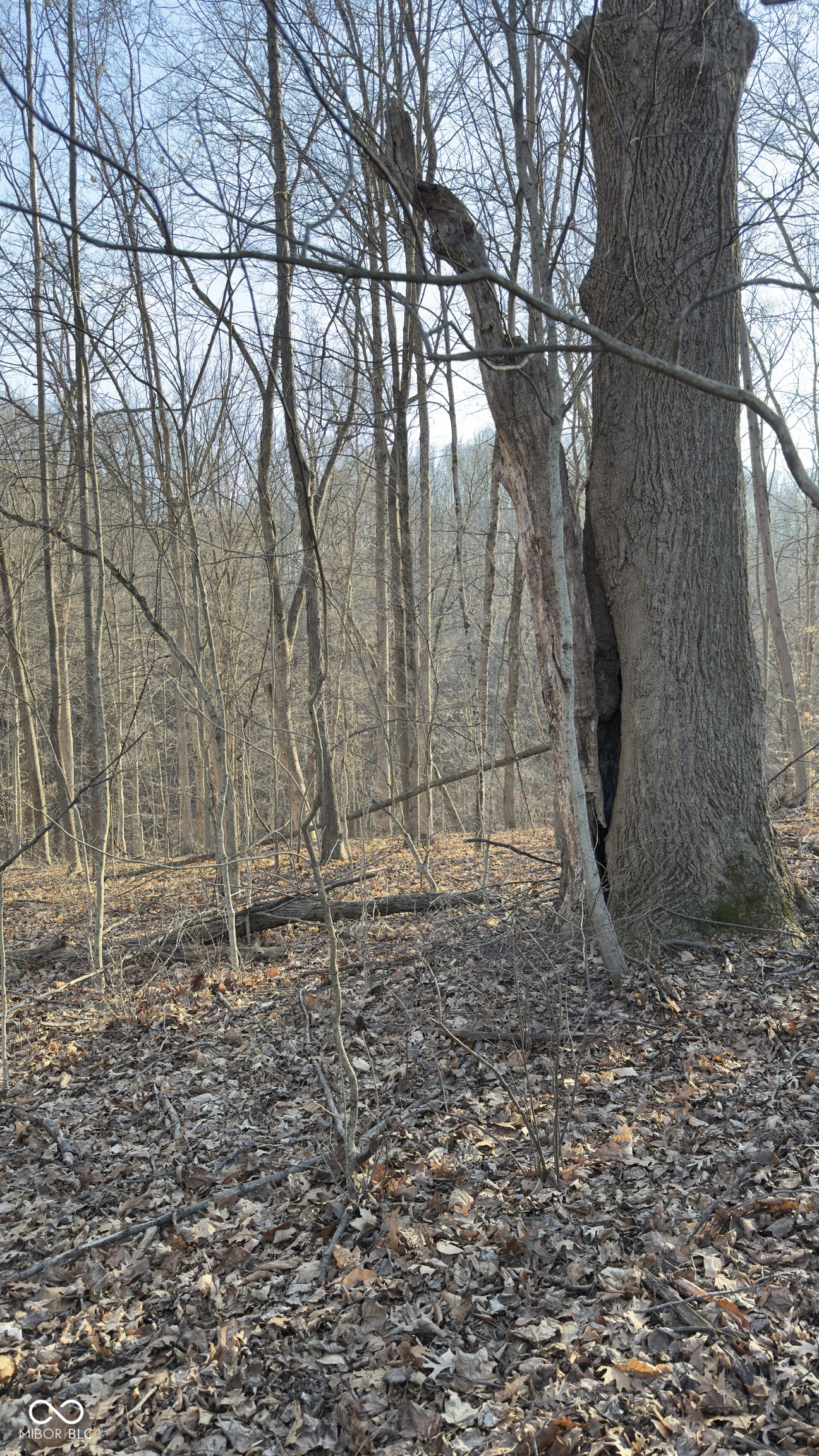 600 South, Reelsville, IN, 46171 photo 5 of 15
