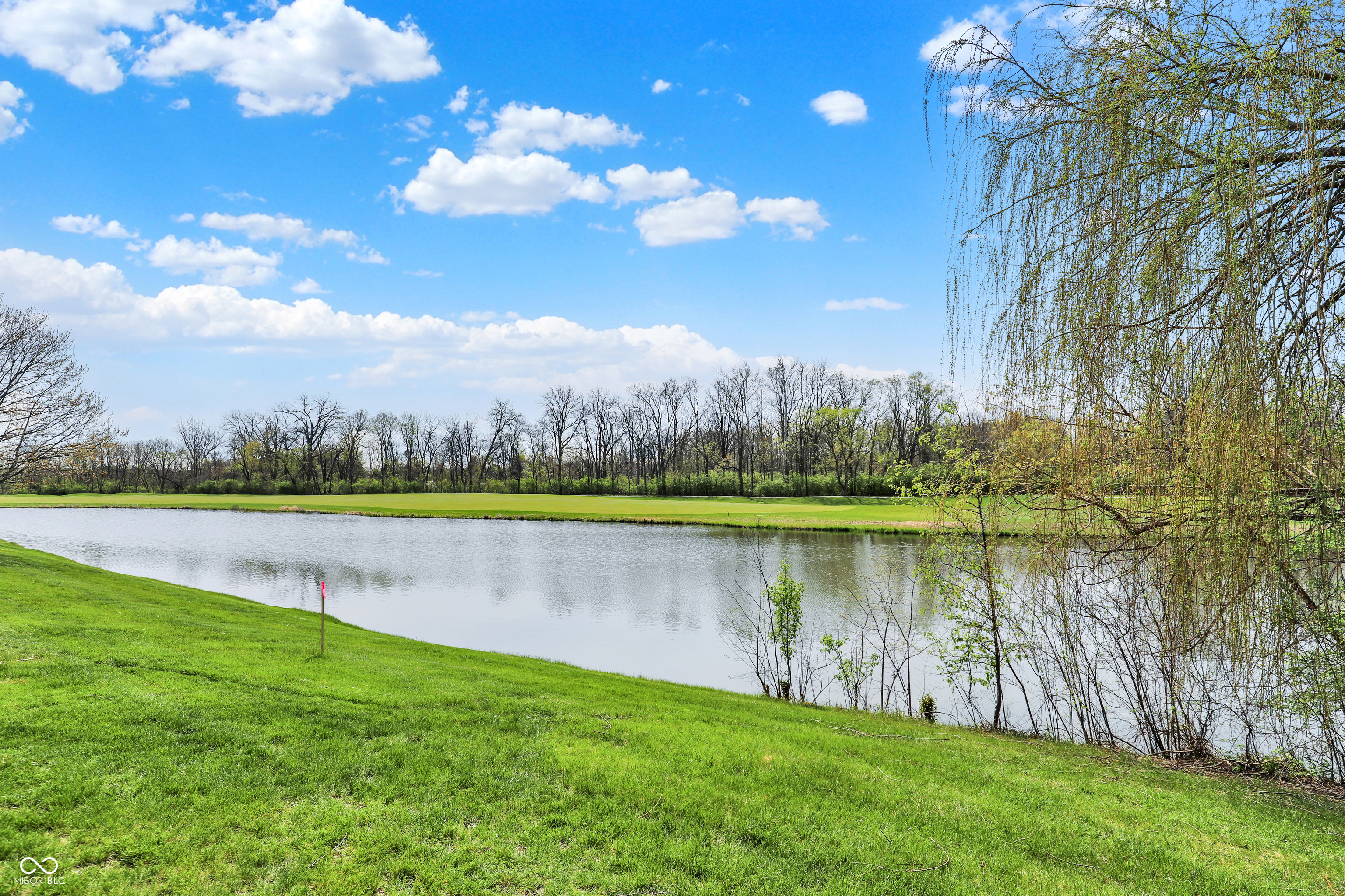 11995 Edgefield Drive, Fishers, IN, 46037 photo 5 of 16