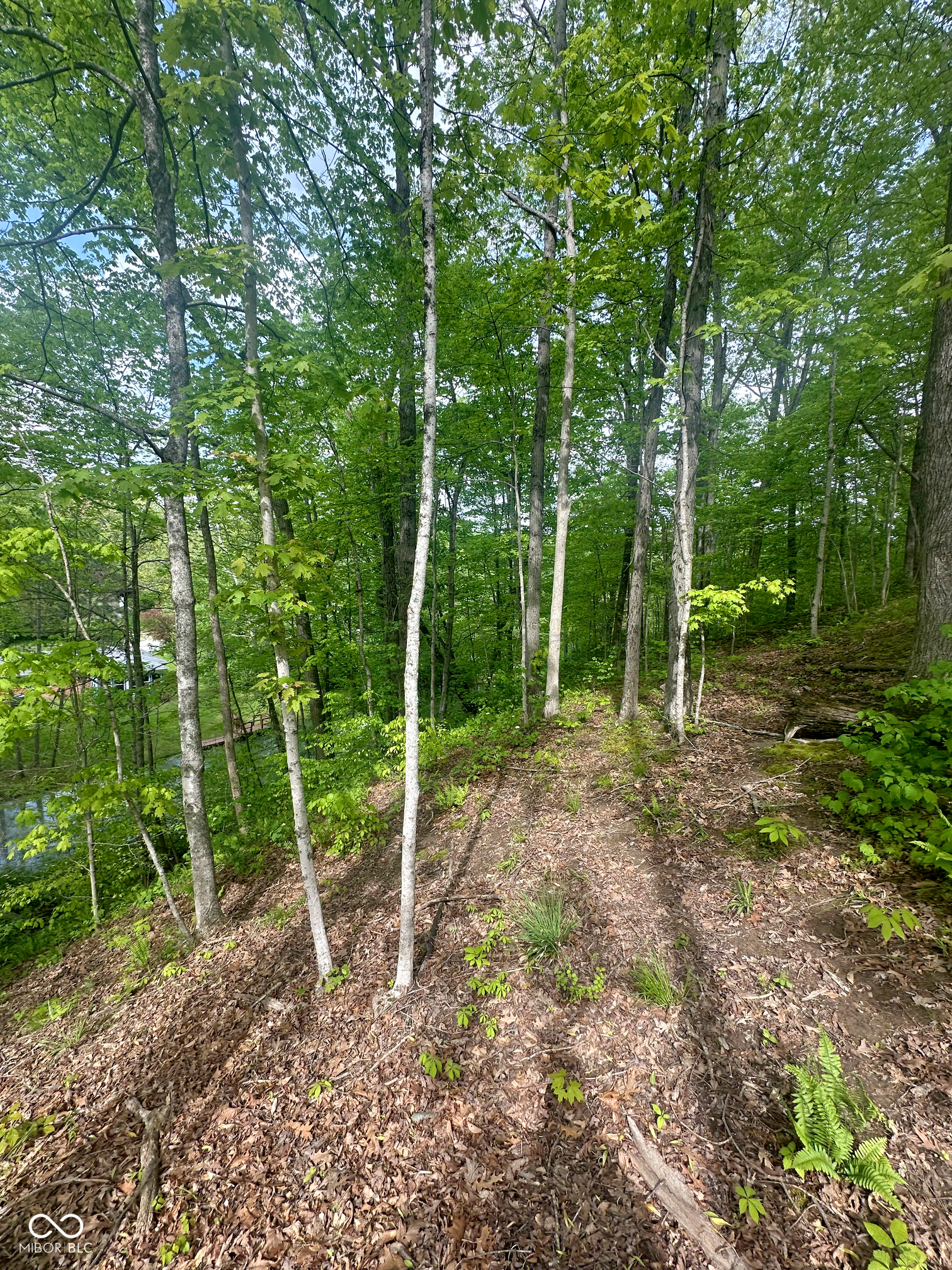 0 N Lasalle Road, Morgantown, IN, 46160 photo 5 of 7