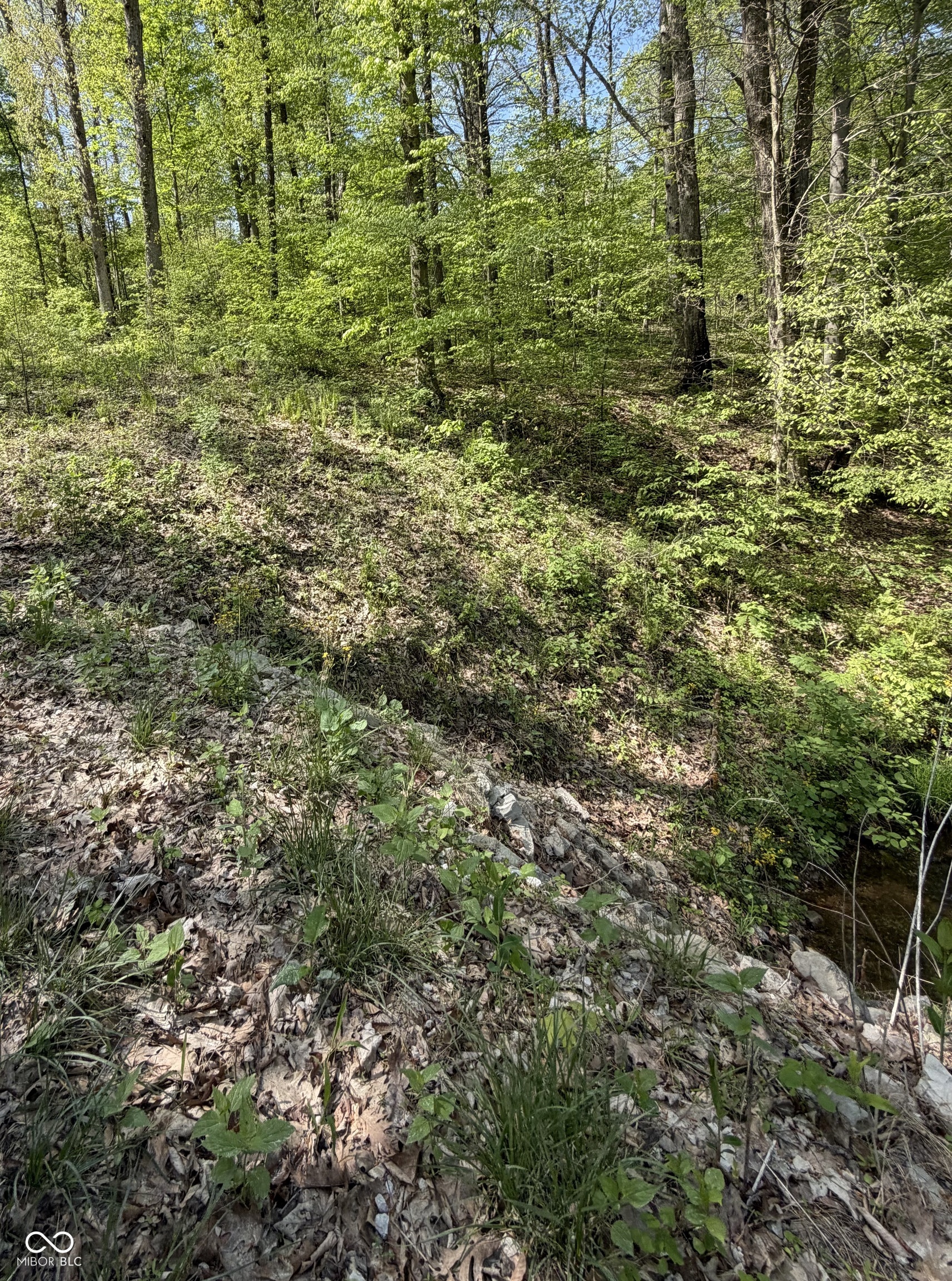 00 Straight Line Road, Coal City, IN, 47427 photo 5 of 7