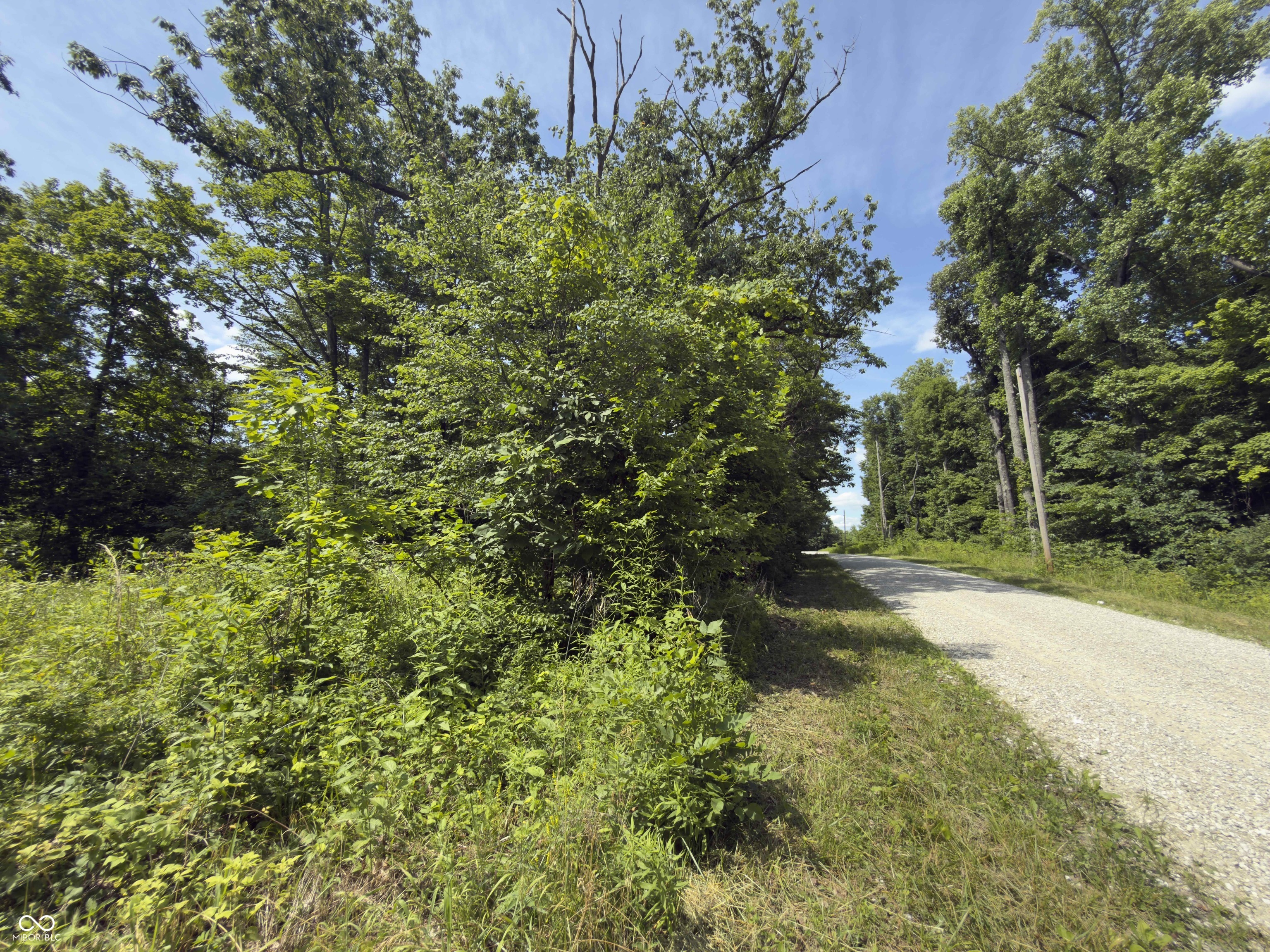 0 Carter, Solsberry, IN, 47459 photo 5 of 22