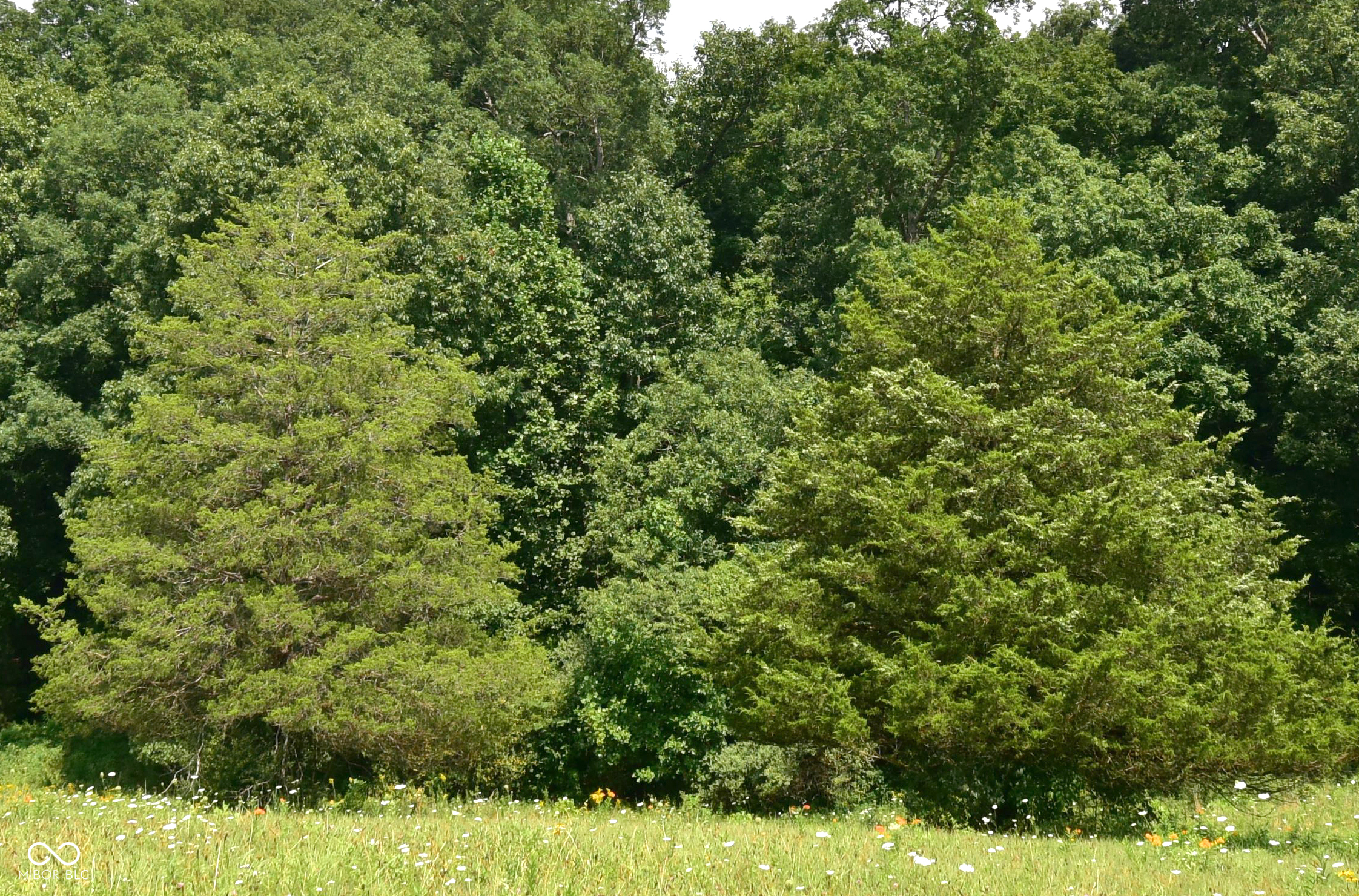 4203 Moorman Road, Batesville, IN, 47006 photo 5 of 6