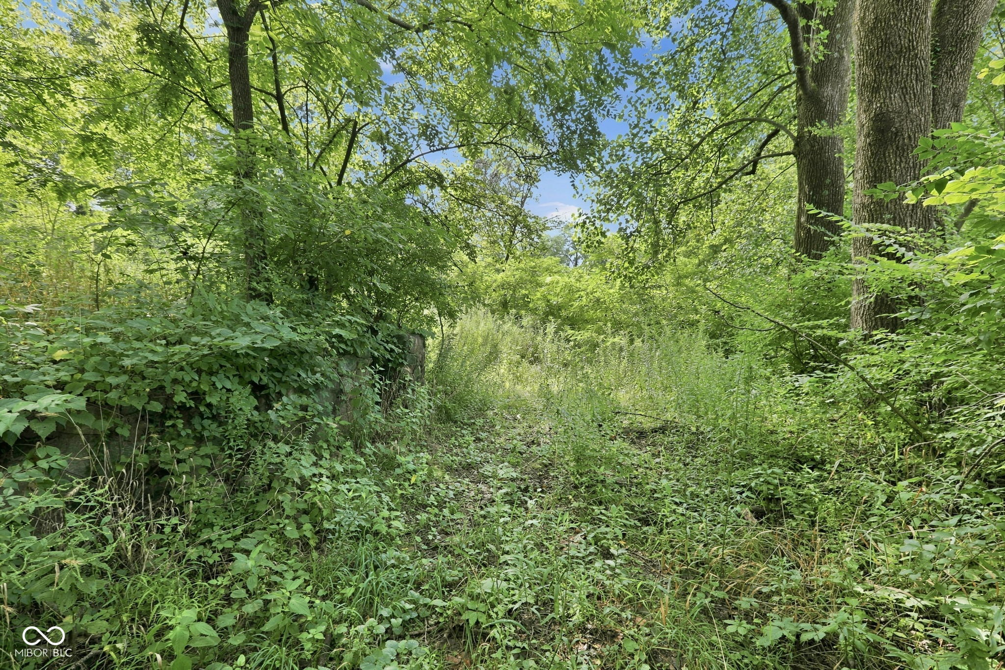 7445 W 93rd Street, Zionsville, IN, 46077 photo 5 of 15