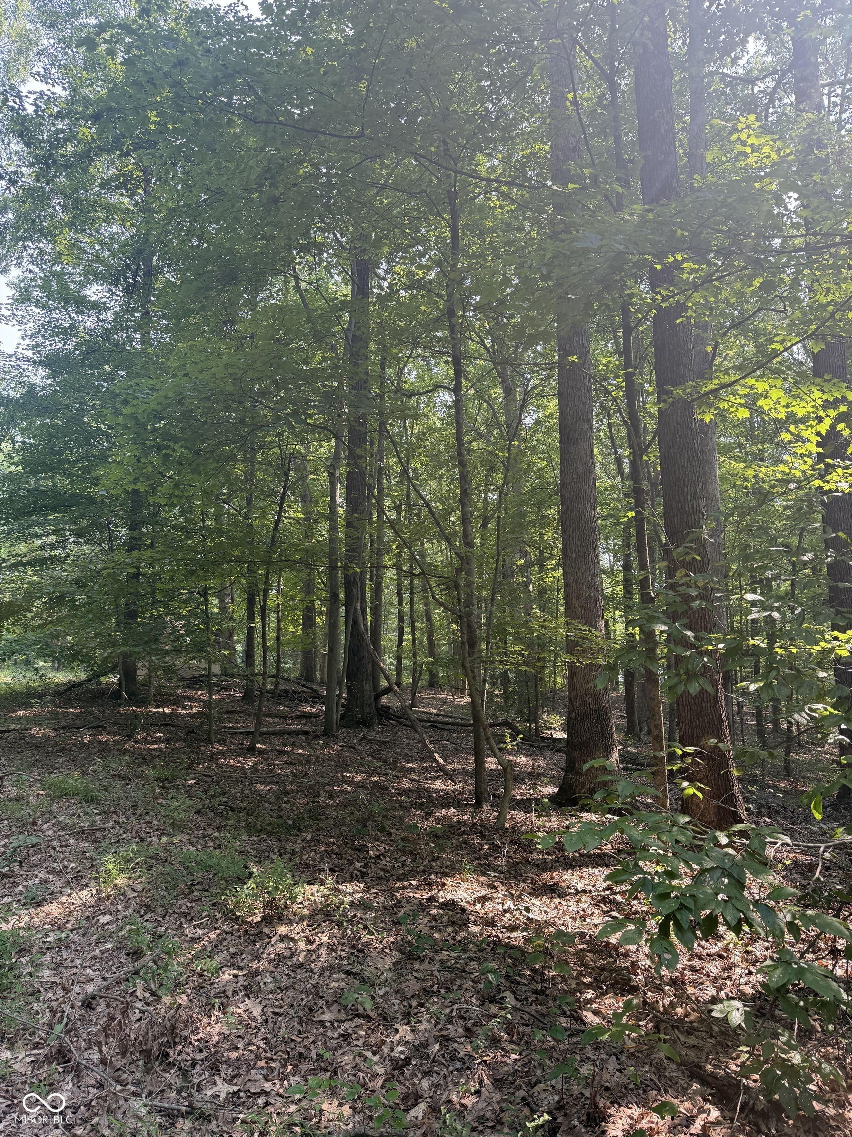 9450 S Chapel Hill Road, Heltonville, IN, 47436 photo 5 of 17