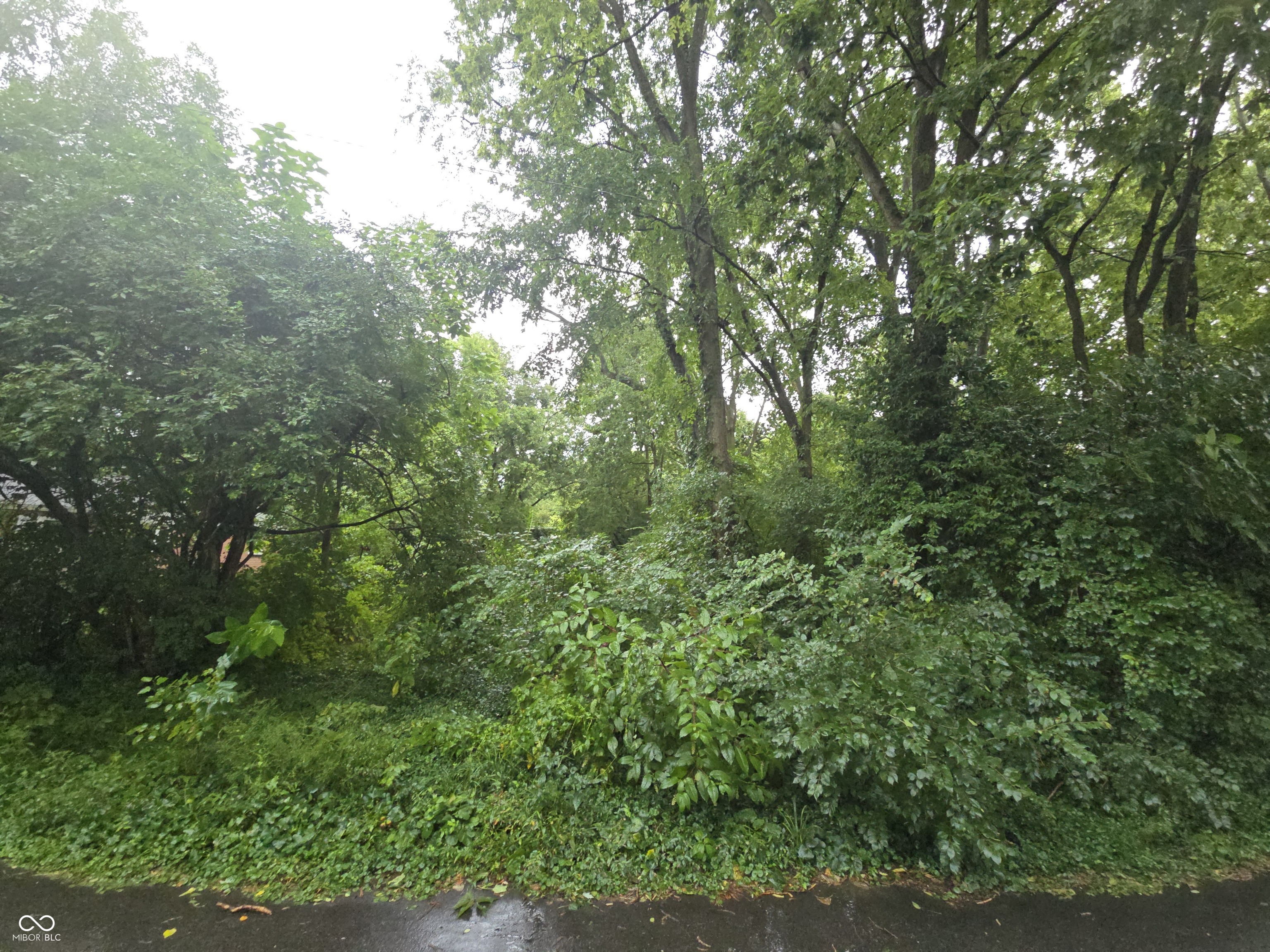 5135 Annette Street, Indianapolis, IN, 46208 photo 5 of 7