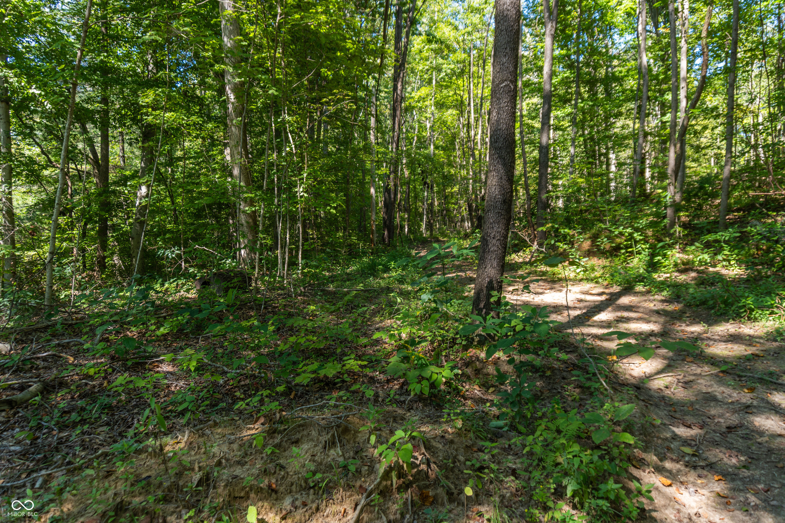 0 Pumpkinvine Hill Road, Martinsville, IN, 46151 photo 5 of 23