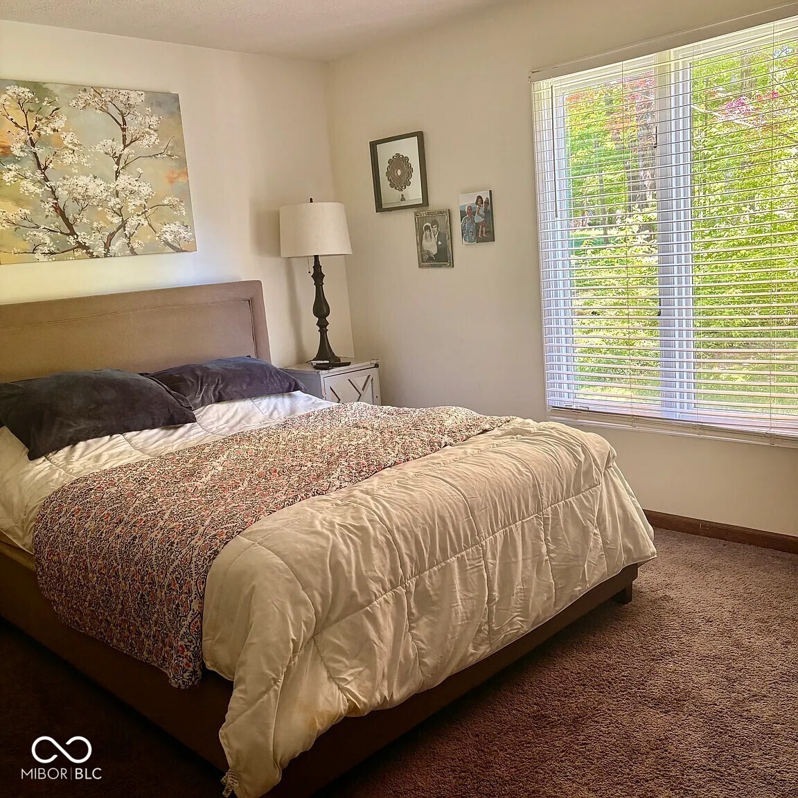 8923 Woodacre Lane, Indianapolis, IN, 46234 photo 5 of 44