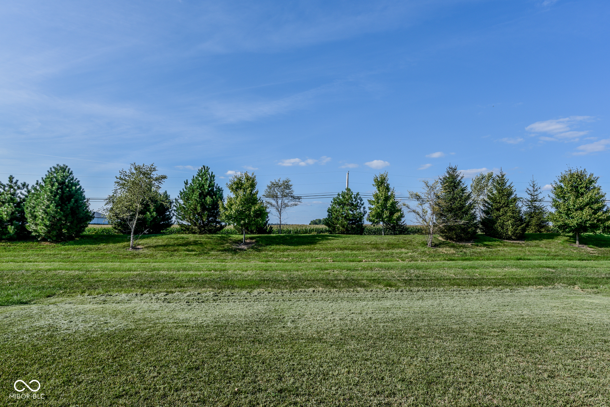 10236 Legacy Drive, Brownsburg, IN, 46112 photo 5 of 25