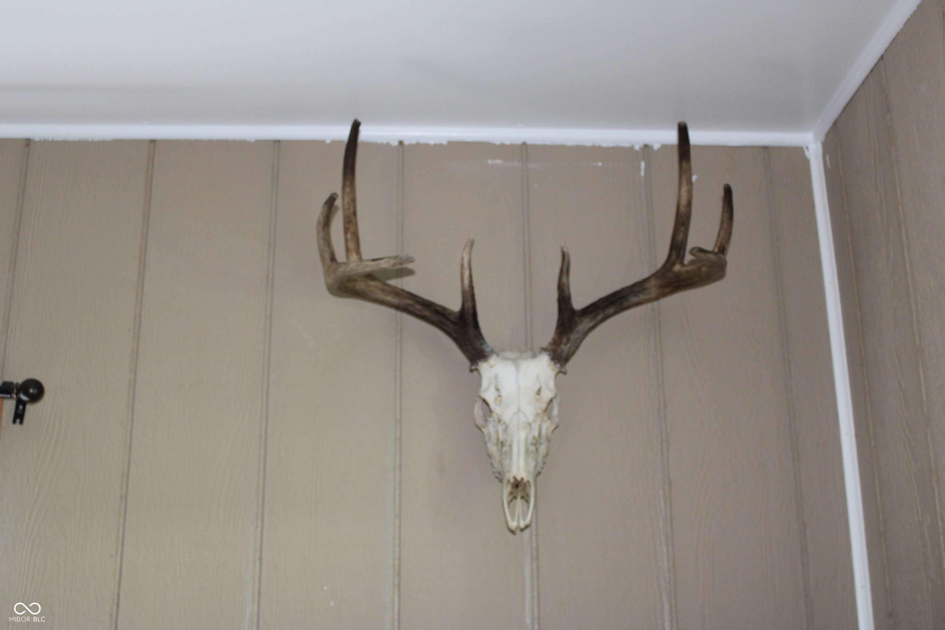 TBD E County Road 1100 N, Butlerville, IN, 47223 photo 5 of 28
