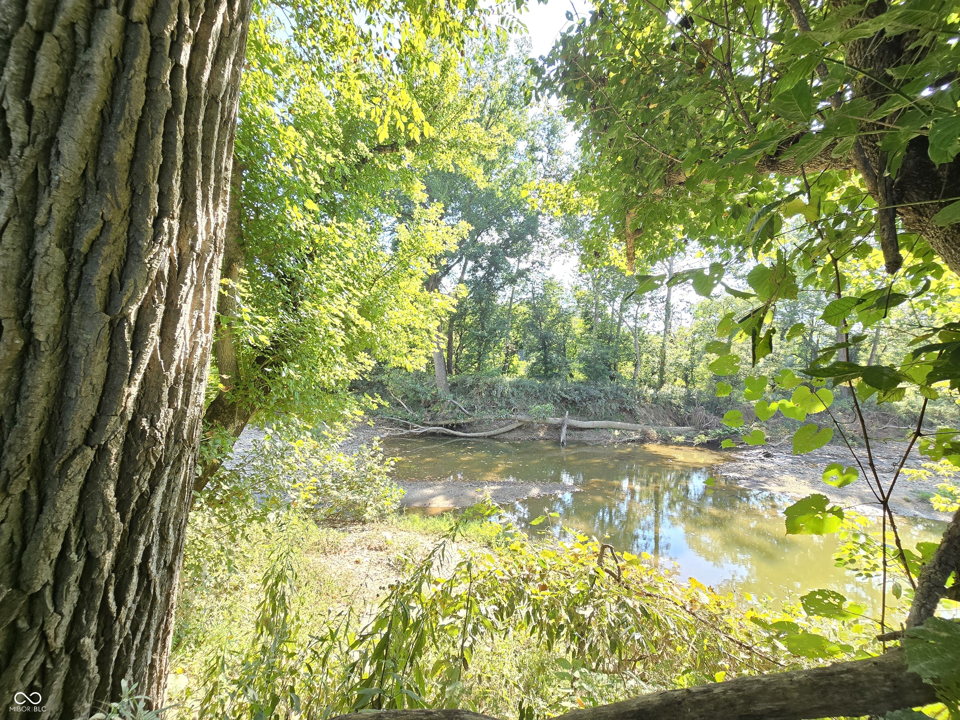 9099 Pipe Creek Road, Metamora, IN, 47030 photo 5 of 56