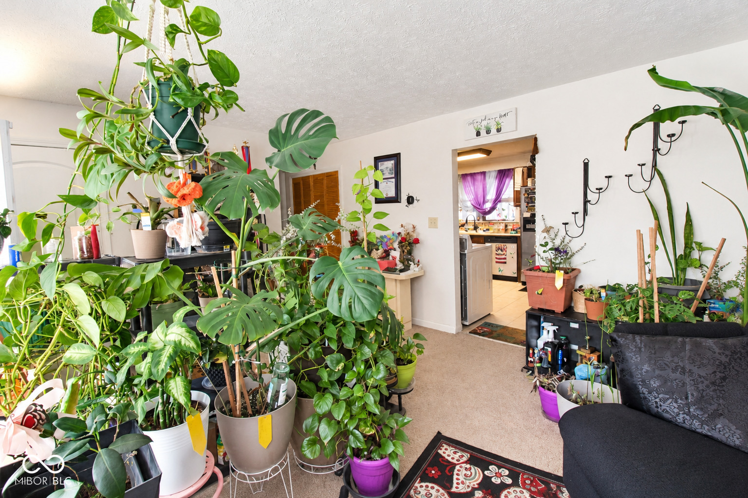 9944 Catalina Drive, Indianapolis, IN, 46235 photo 5 of 29