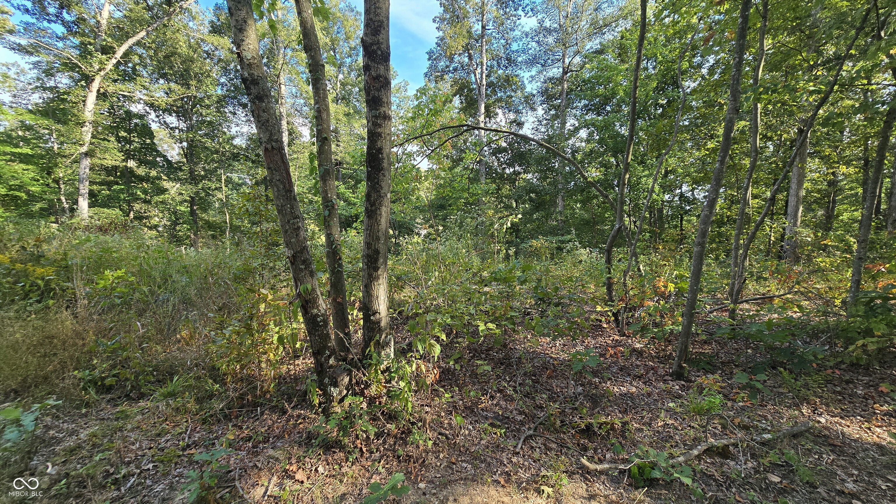 4332 N State Road 135, Freetown, IN, 47235 photo 5 of 39