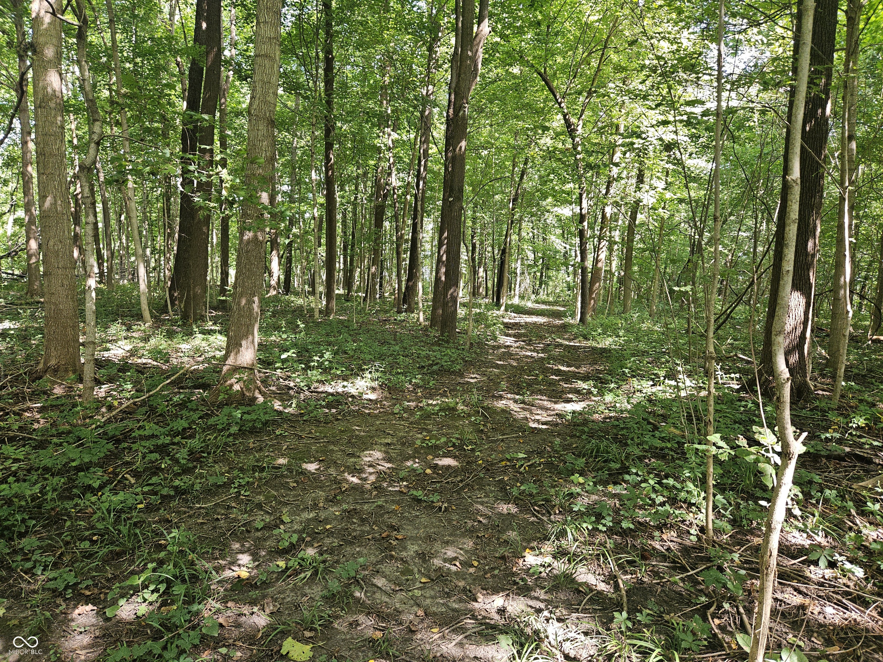 4078 E St. Rd. 28 Road, Tipton, IN, 46072 photo 5 of 6