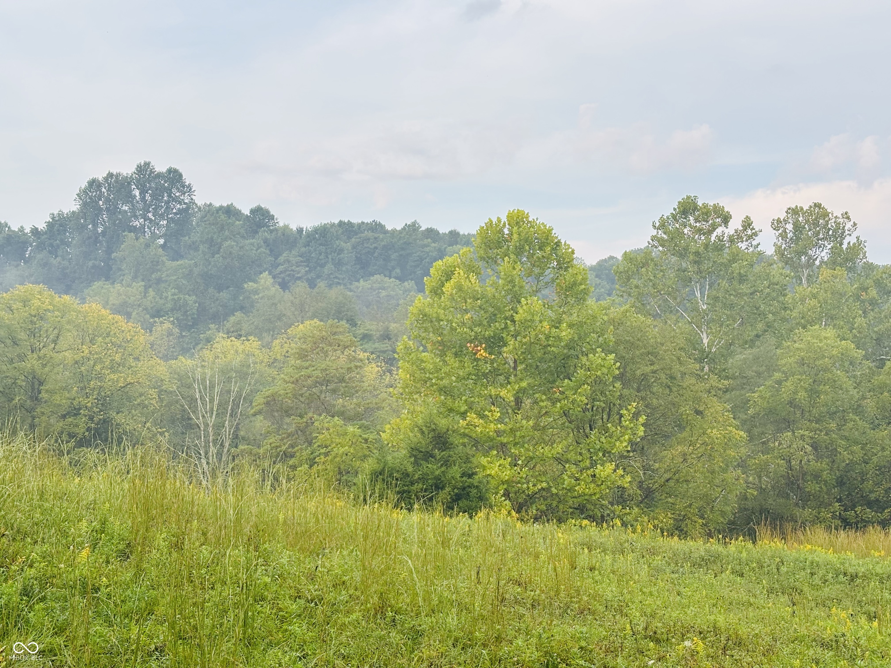 1 Snail Creek Road, Brookville, IN, 47012 photo 5 of 27