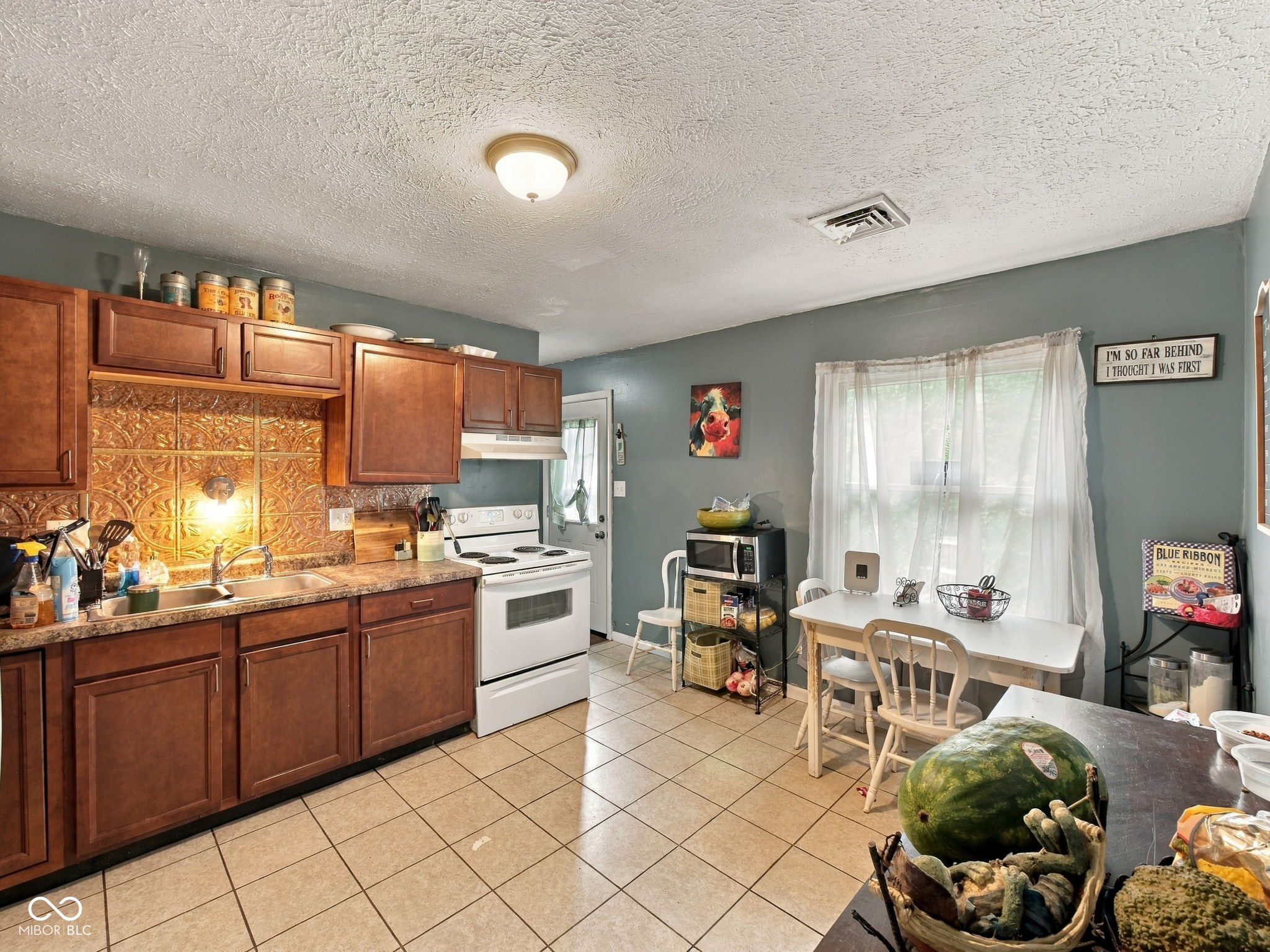 4214 Phoenix Drive, Indianapolis, IN, 46241 photo 5 of 12