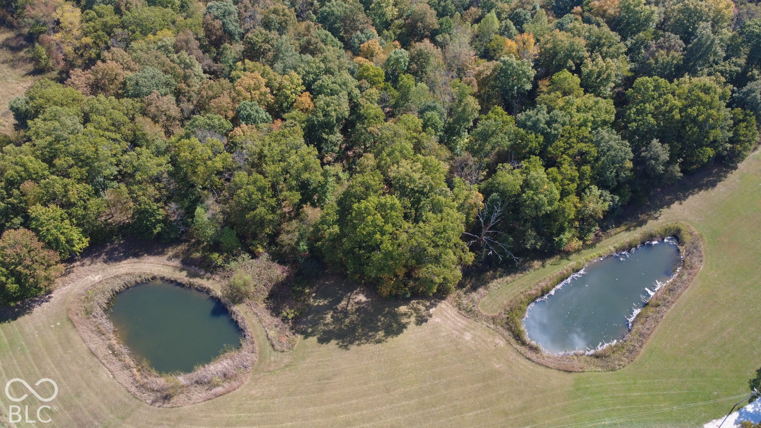 8476 E Sycamore Road, Bloomfield, IN, 47424 photo 5 of 43