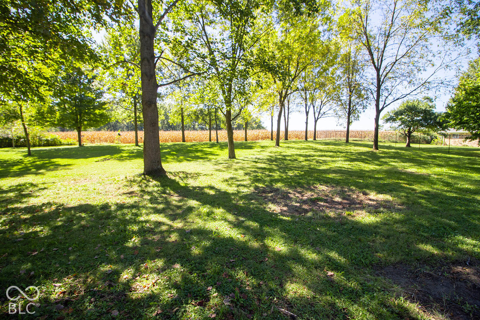 9015 E 256th, Arcadia, IN, 46030 photo 5 of 50