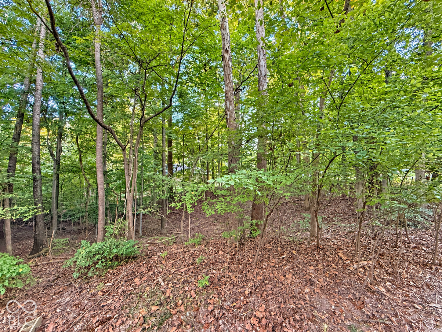0 Sunderland Drive, Martinsville, IN, 46151 photo 5 of 6