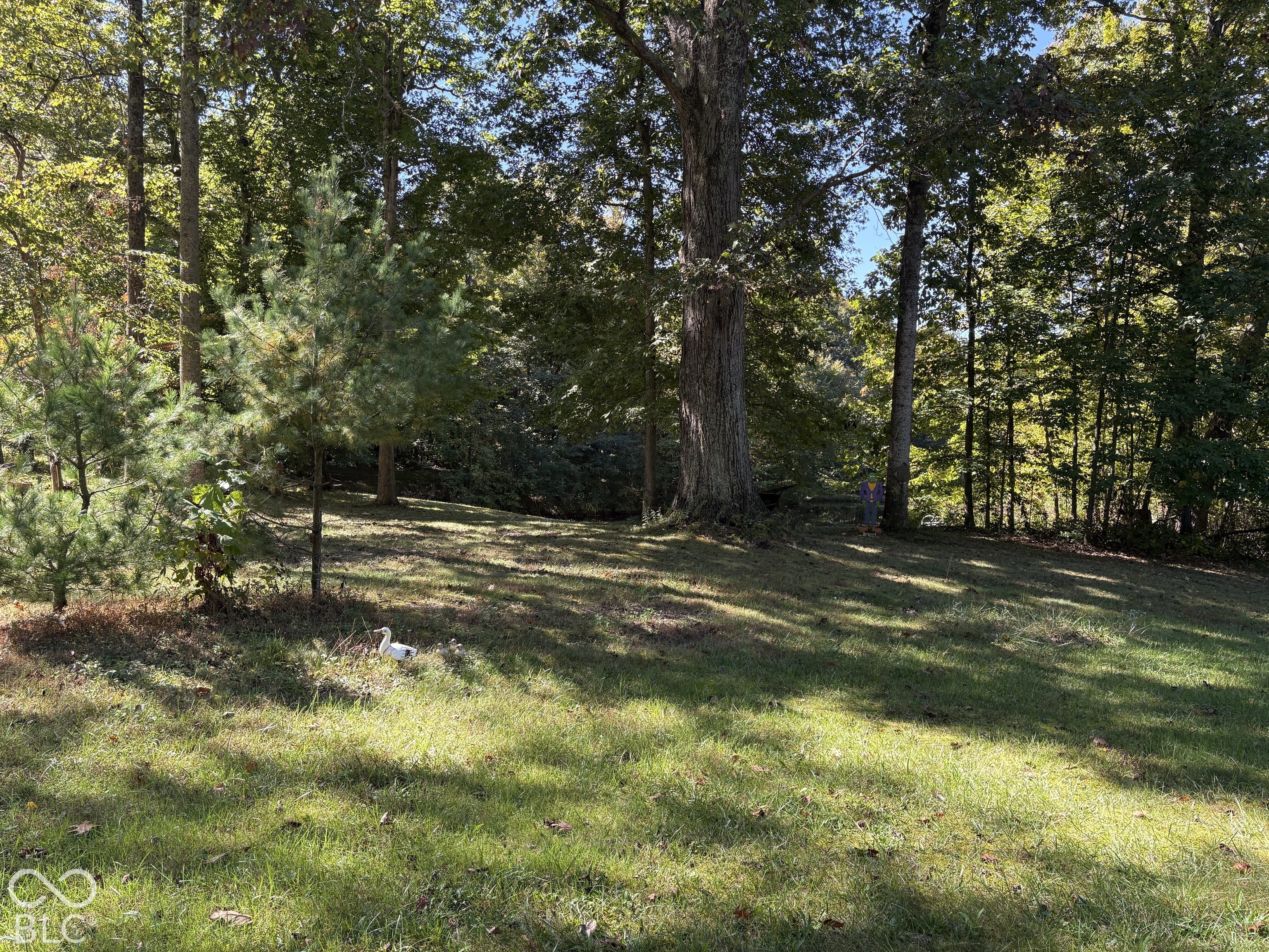 2532 W County Road 900 Road S, Cloverdale, IN, 46120 photo 5 of 64
