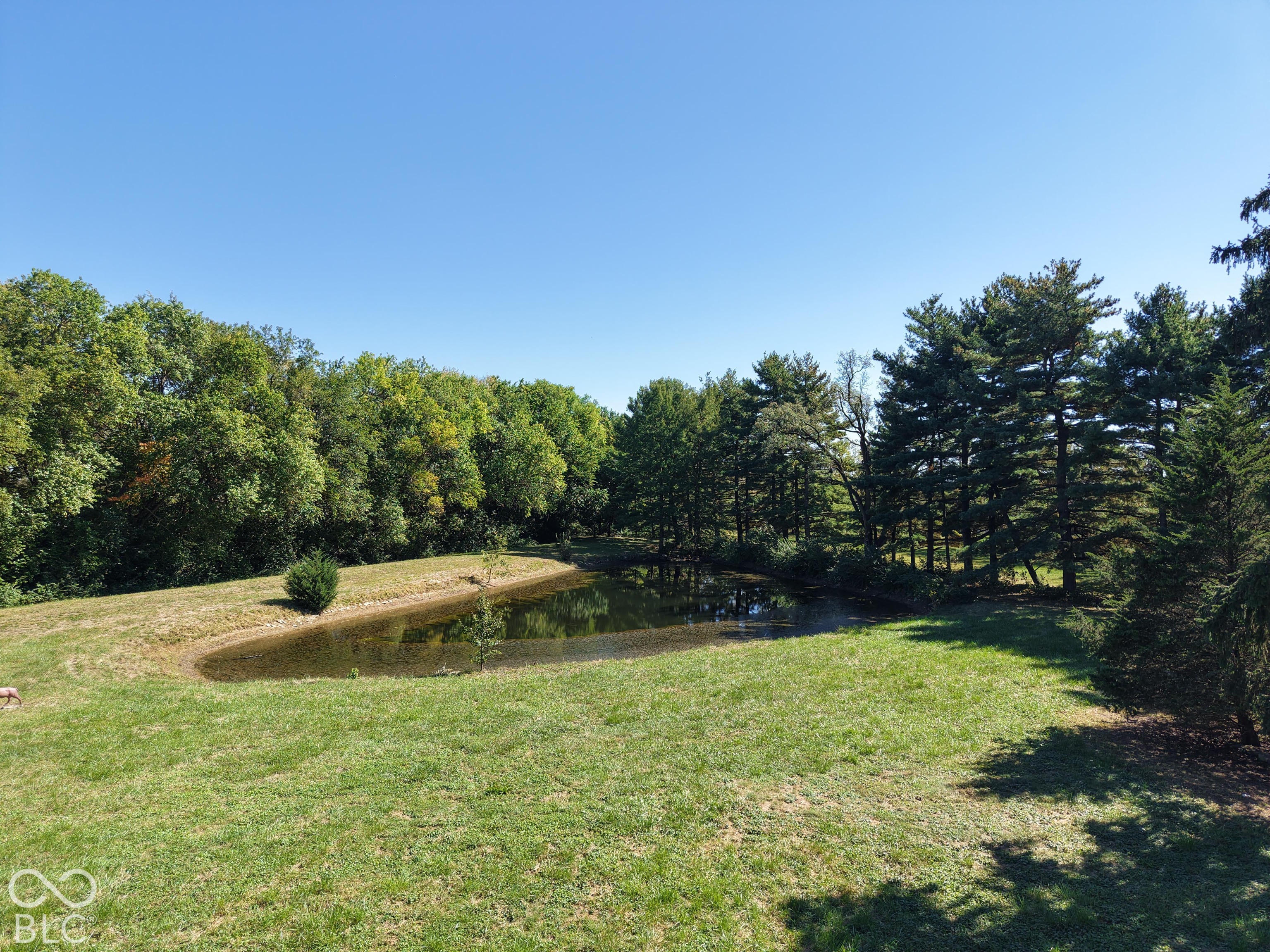 1030 Amos Road, Shelbyville, IN, 46176 photo 5 of 65