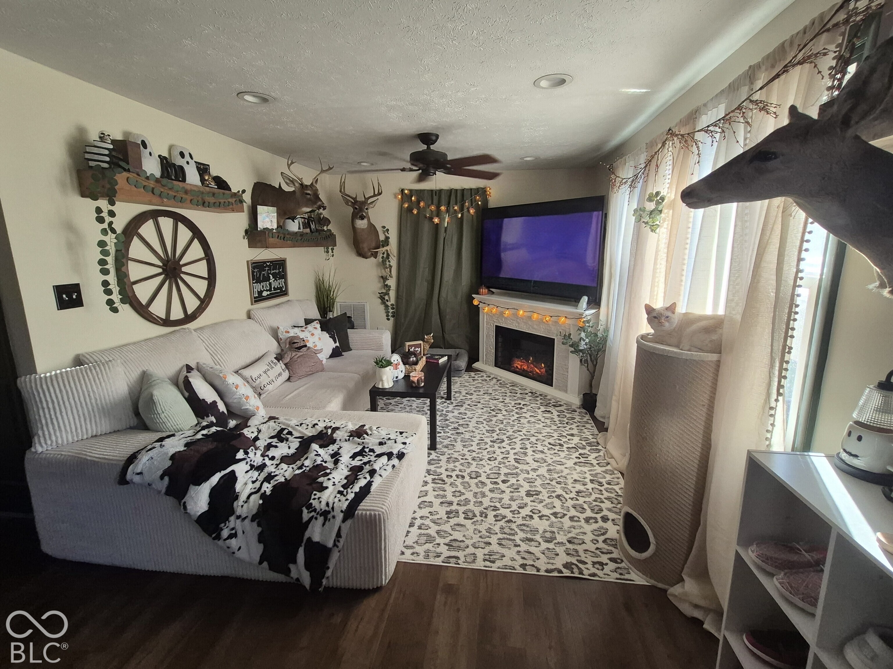 1425 Cross Street, Martinsville, IN, 46151 photo 5 of 22