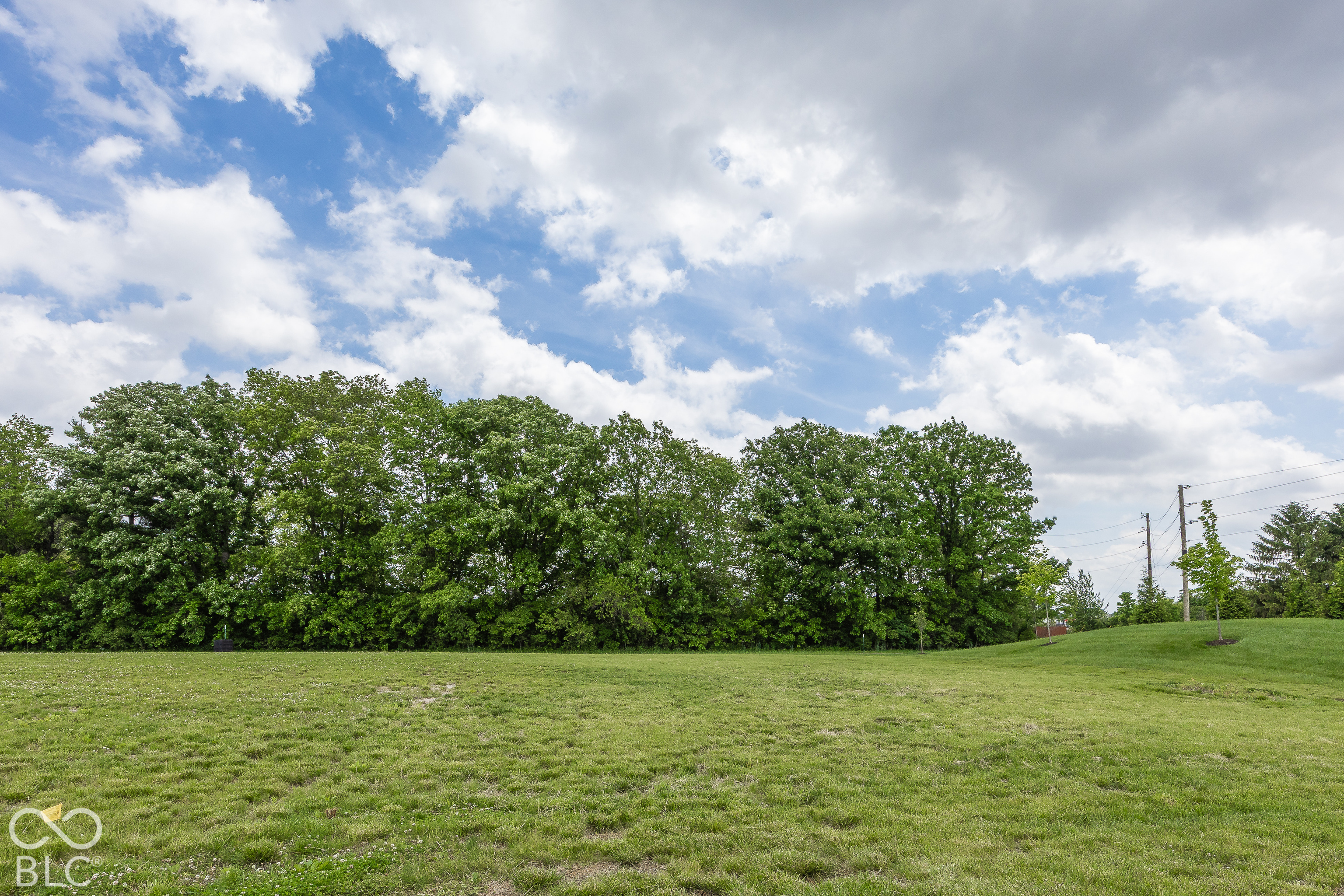 5644 Cupola Lane, McCordsville, IN, 46055 photo 5 of 6