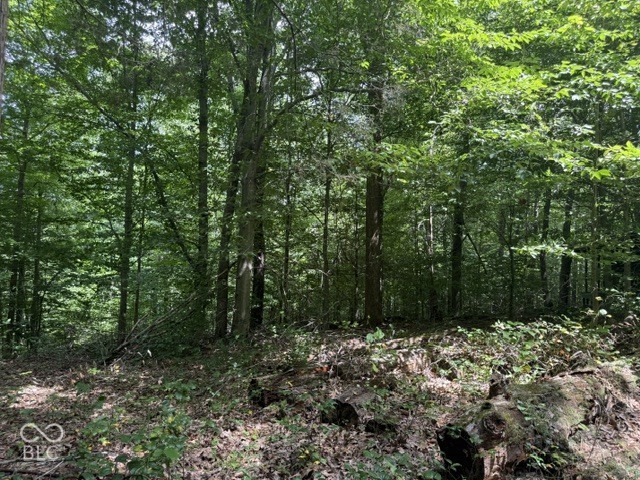0 Buffalo Pike Road, Freetown, IN, 47235 photo 5 of 15