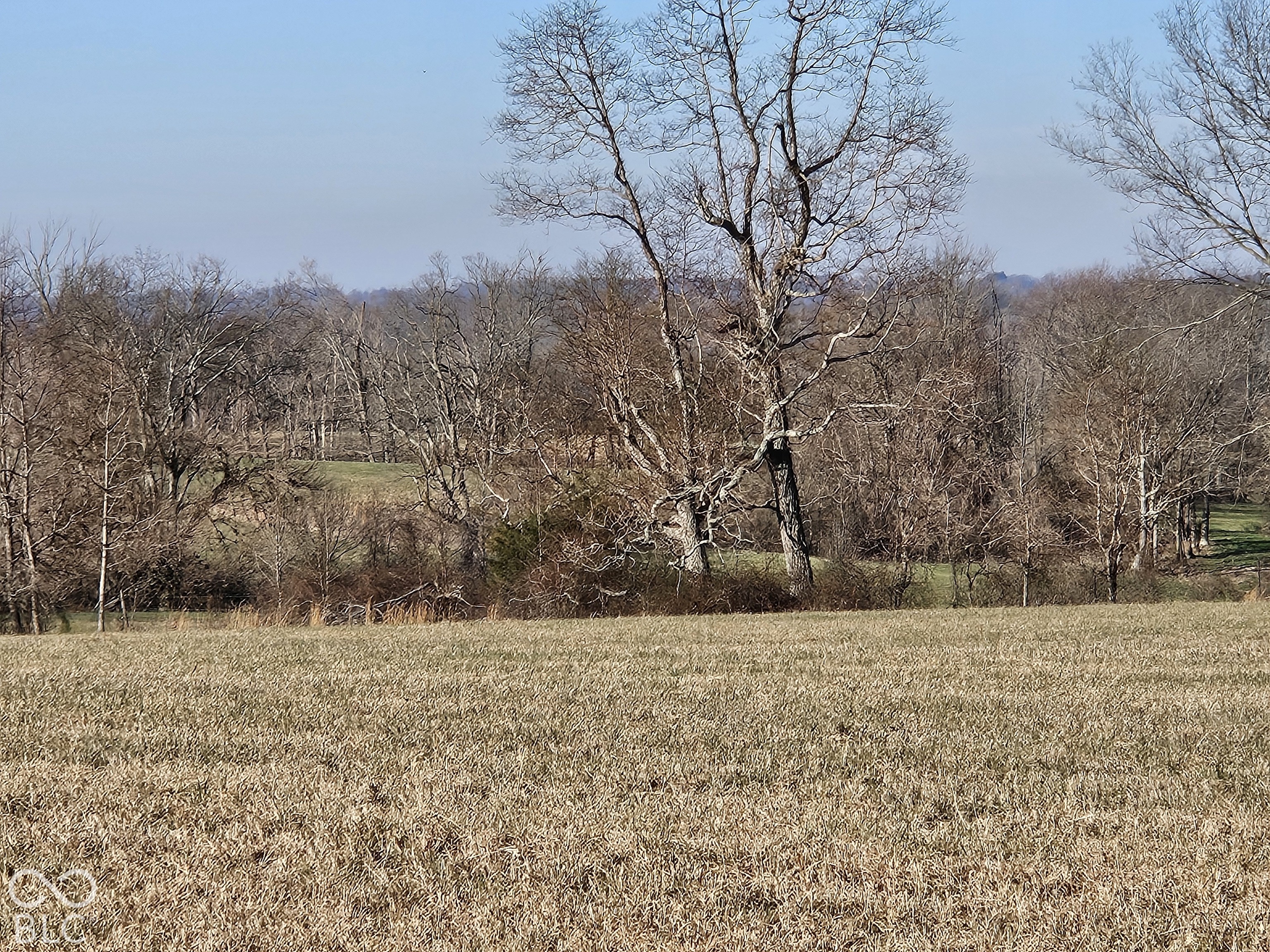 8798 S Strain Ridge Road, Bloomington, IN, 47401 photo 5 of 10