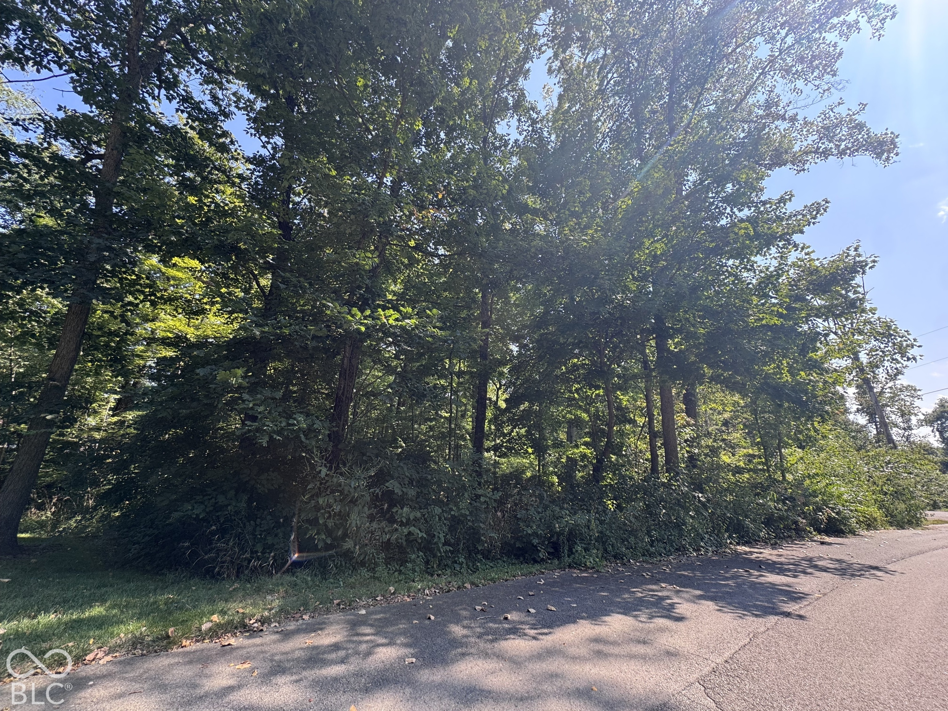 0 Lakewood Drive, Middletown, IN, 47356 photo 5 of 5