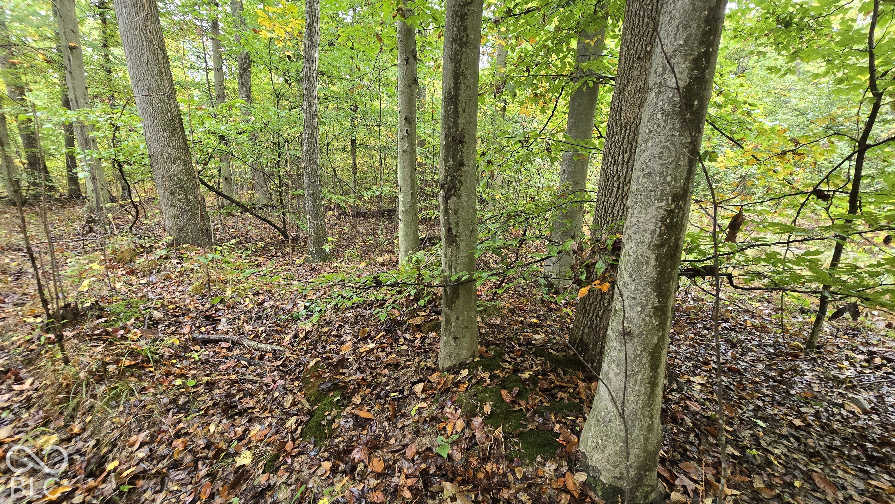 3949 E Thornton Road, Madison, IN, 47250 photo 5 of 39